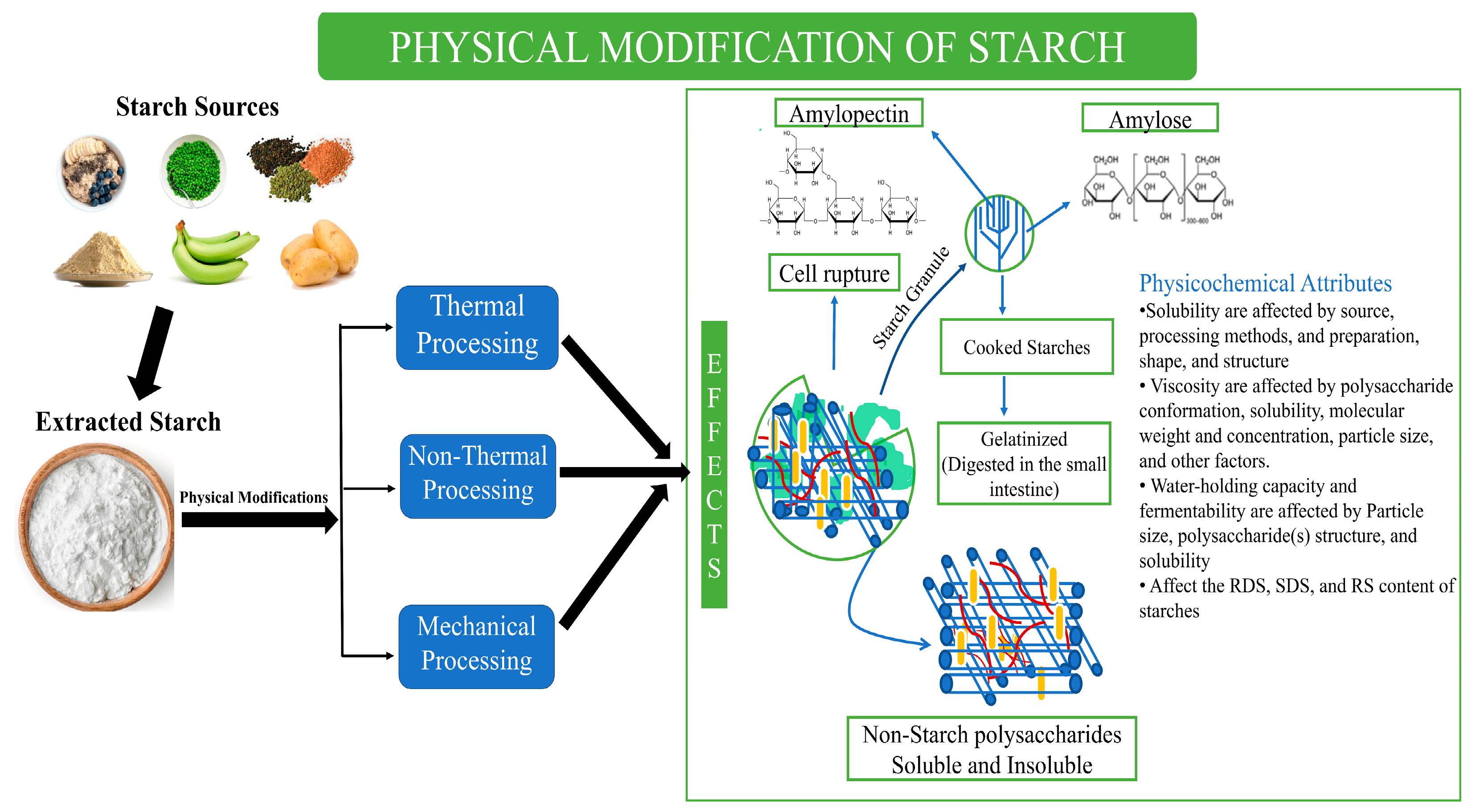 Foods 13 02770 g001 Foods 13 02770 g001