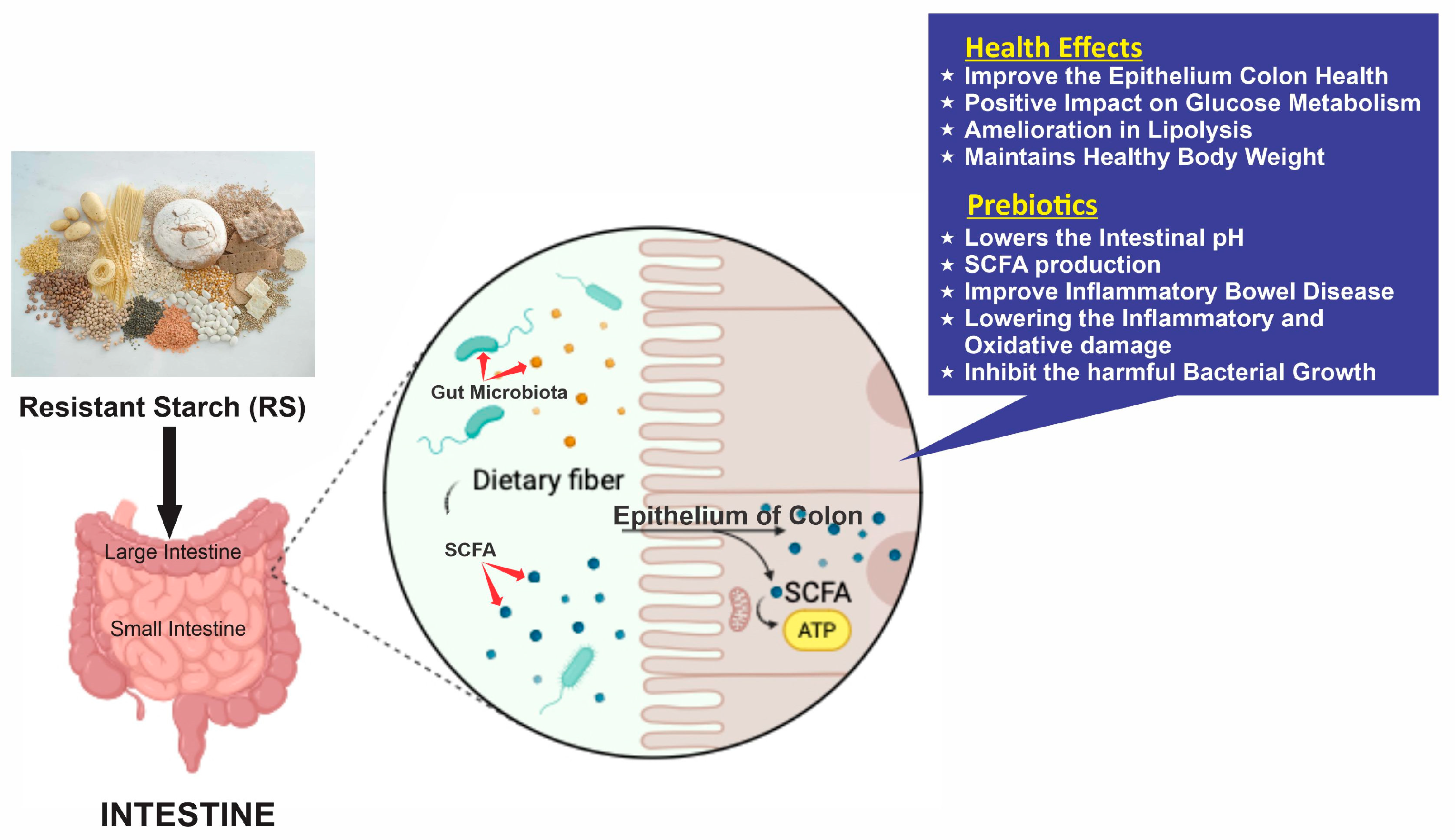 Foods 13 02770 g002 Foods 13 02770 g002