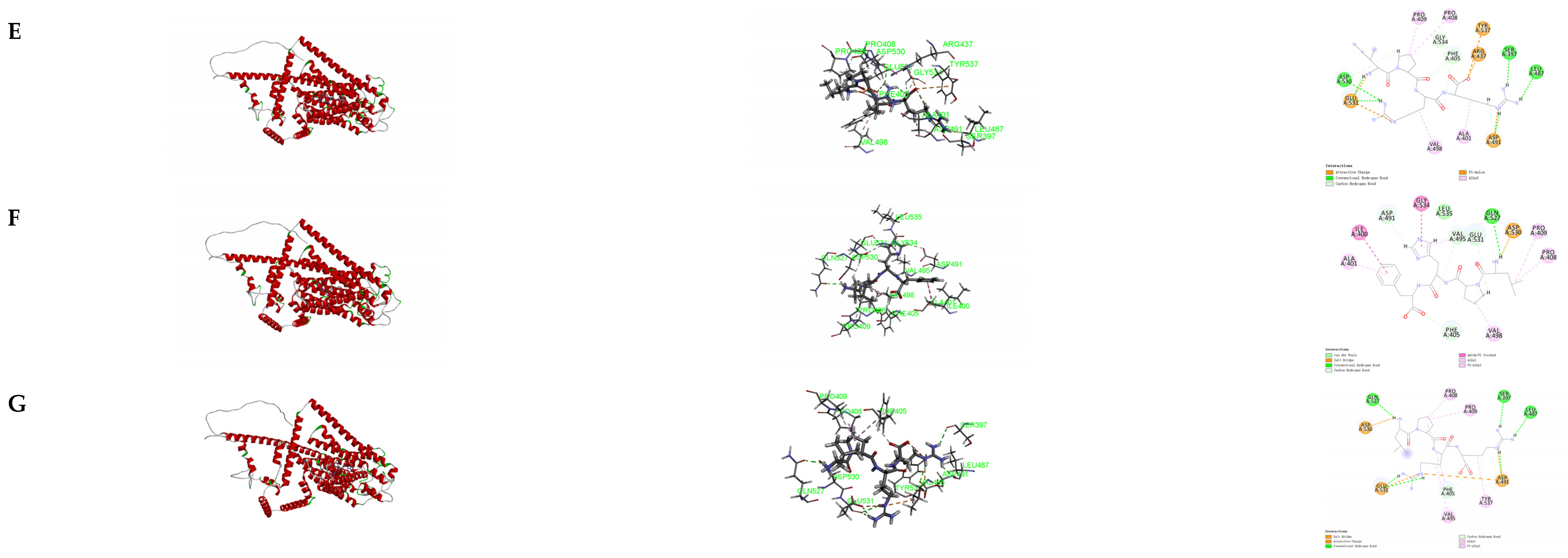 Foods 13 02798 g004b