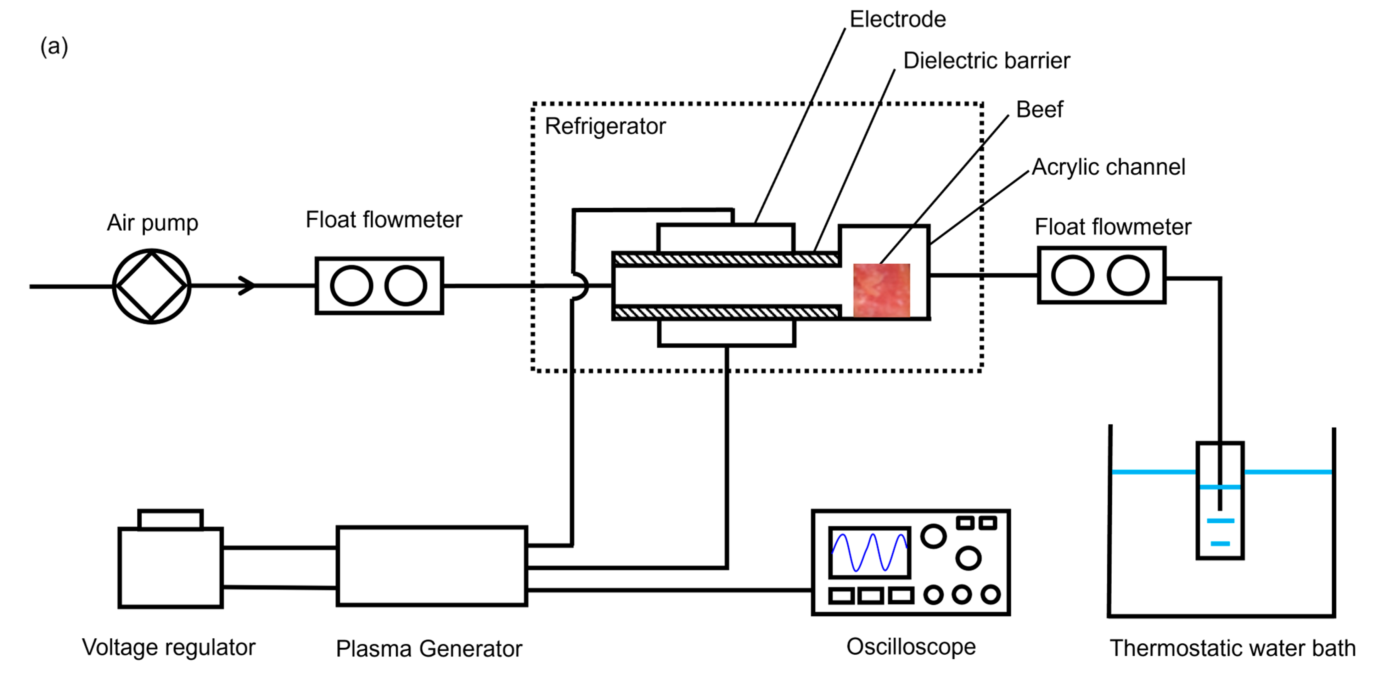 Foods 13 02846 g001a