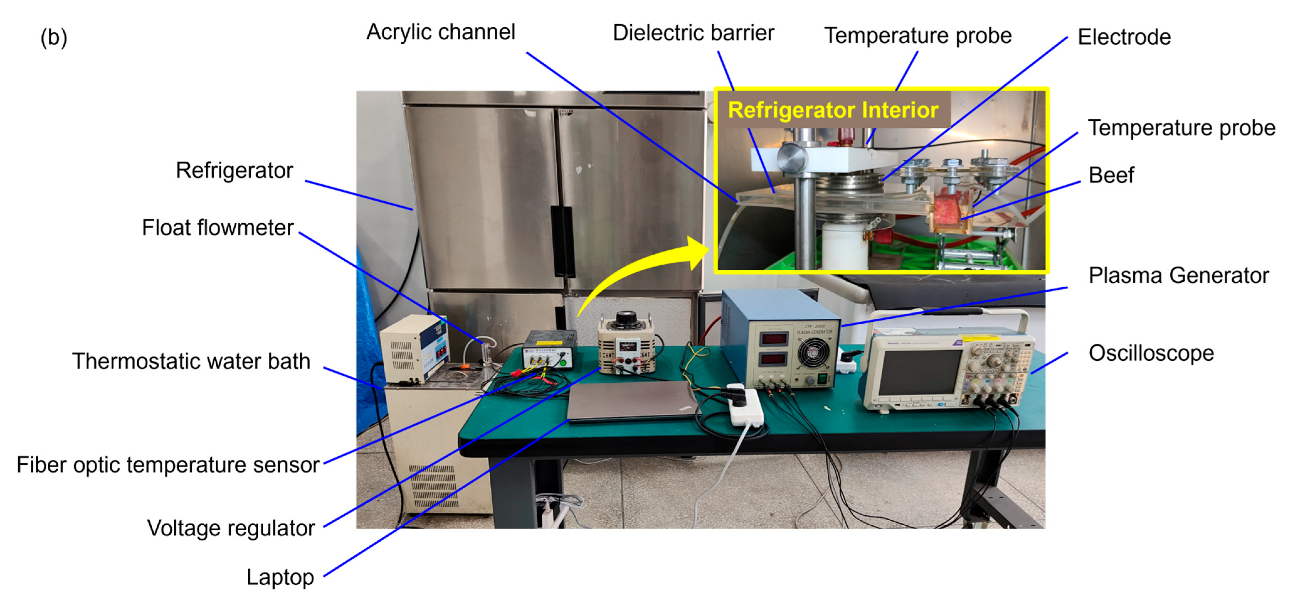 Foods 13 02846 g001b
