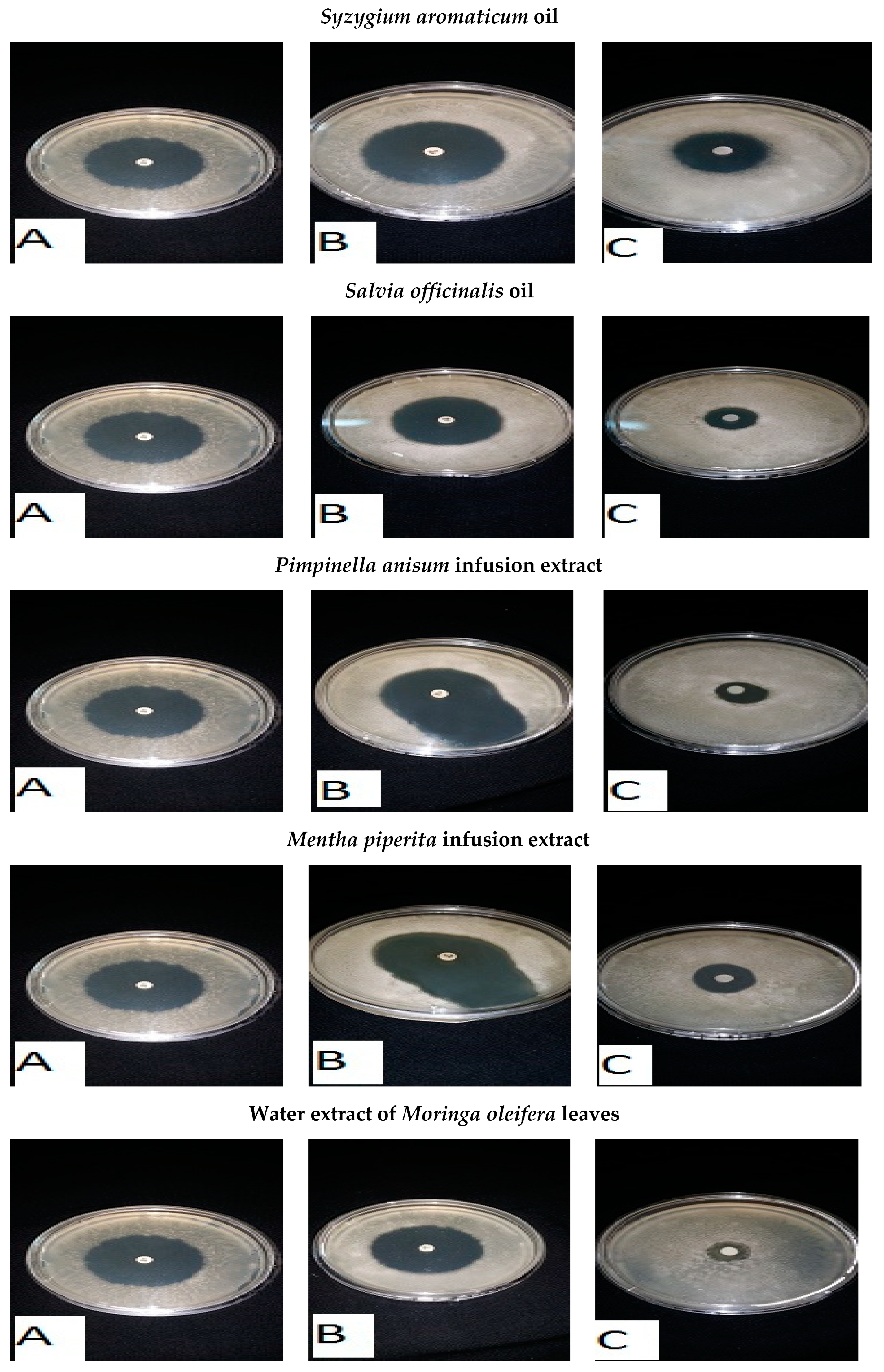 Foods 13 02915 g015a