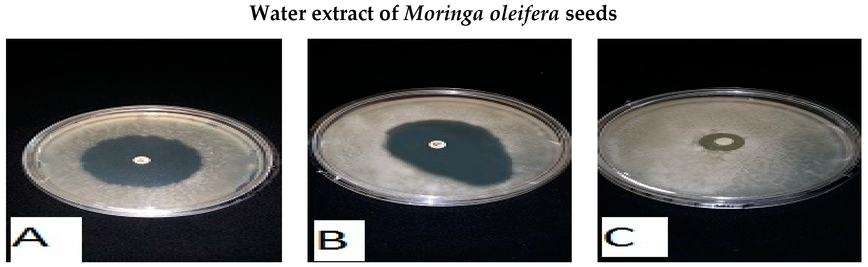 Foods 13 02915 g015b