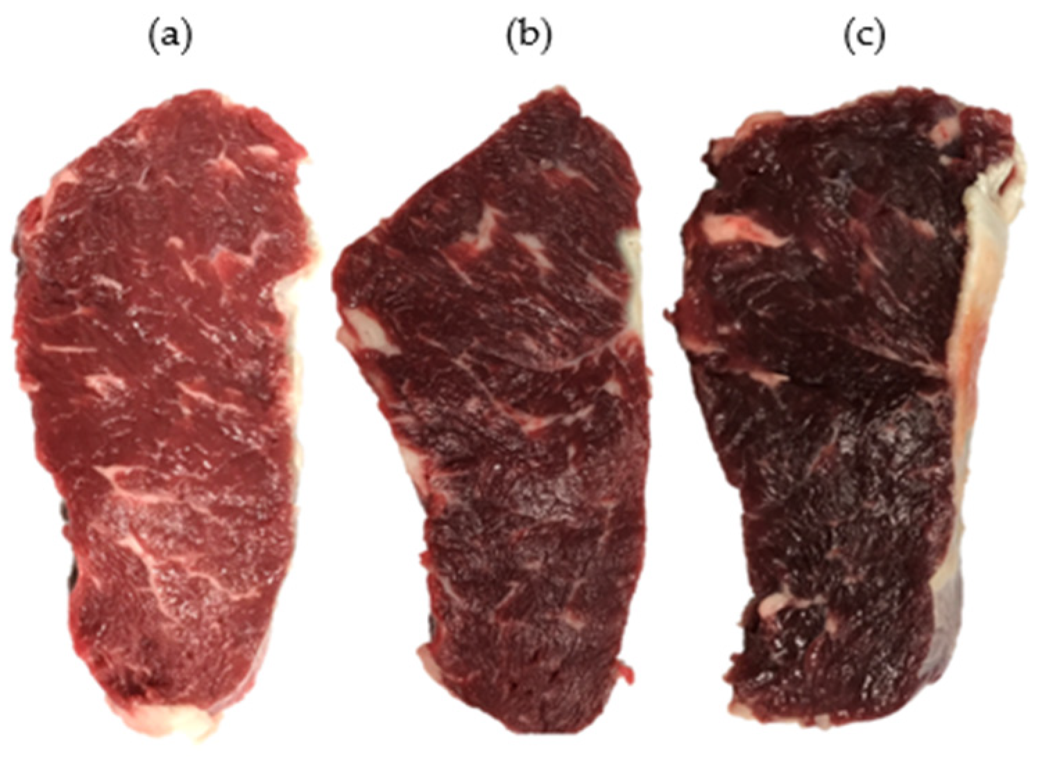 Foods 13 02965 g001 Foods 13 02965 g001