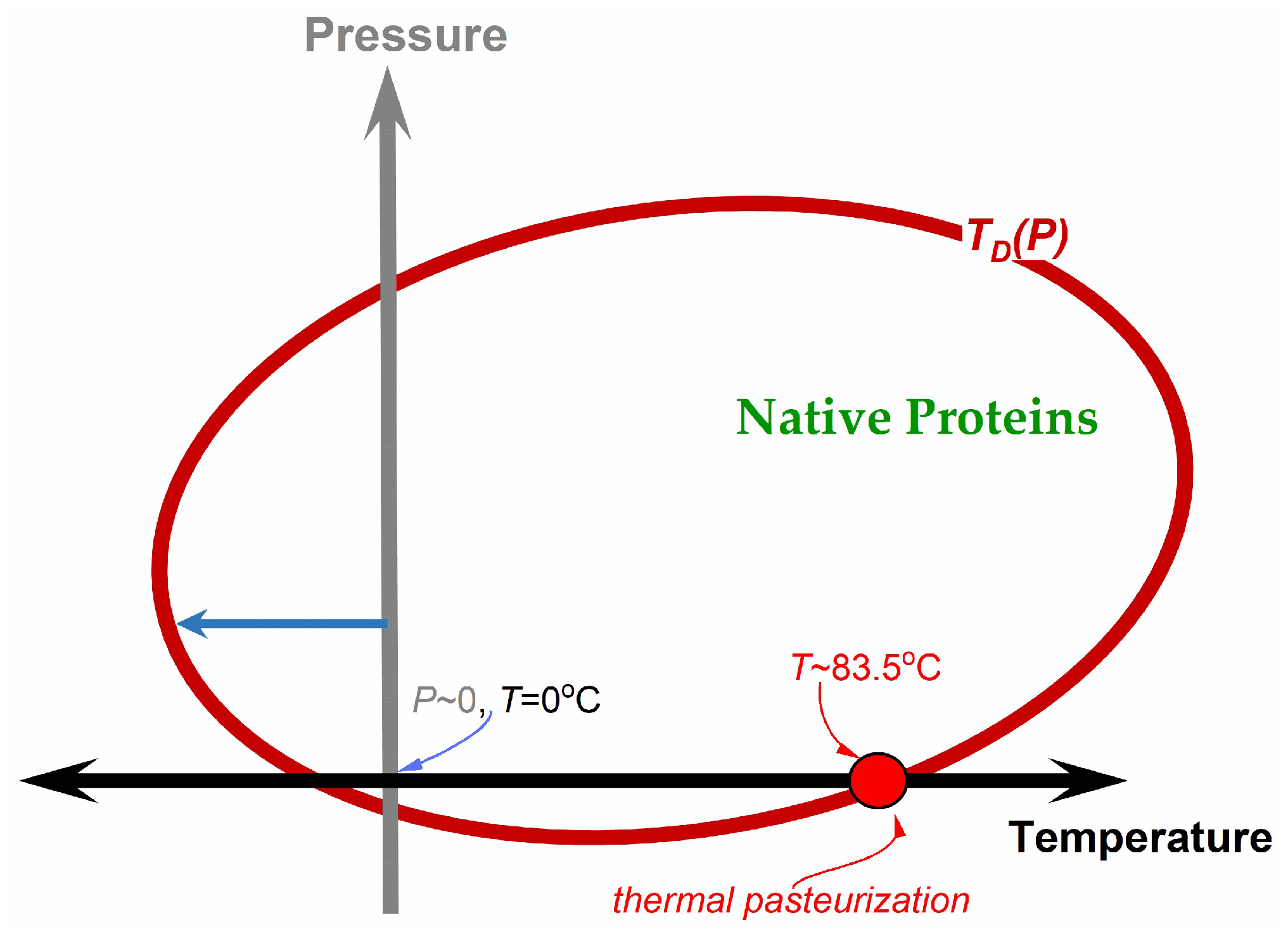 Foods 13 03028 g003 Foods 13 03028 g003