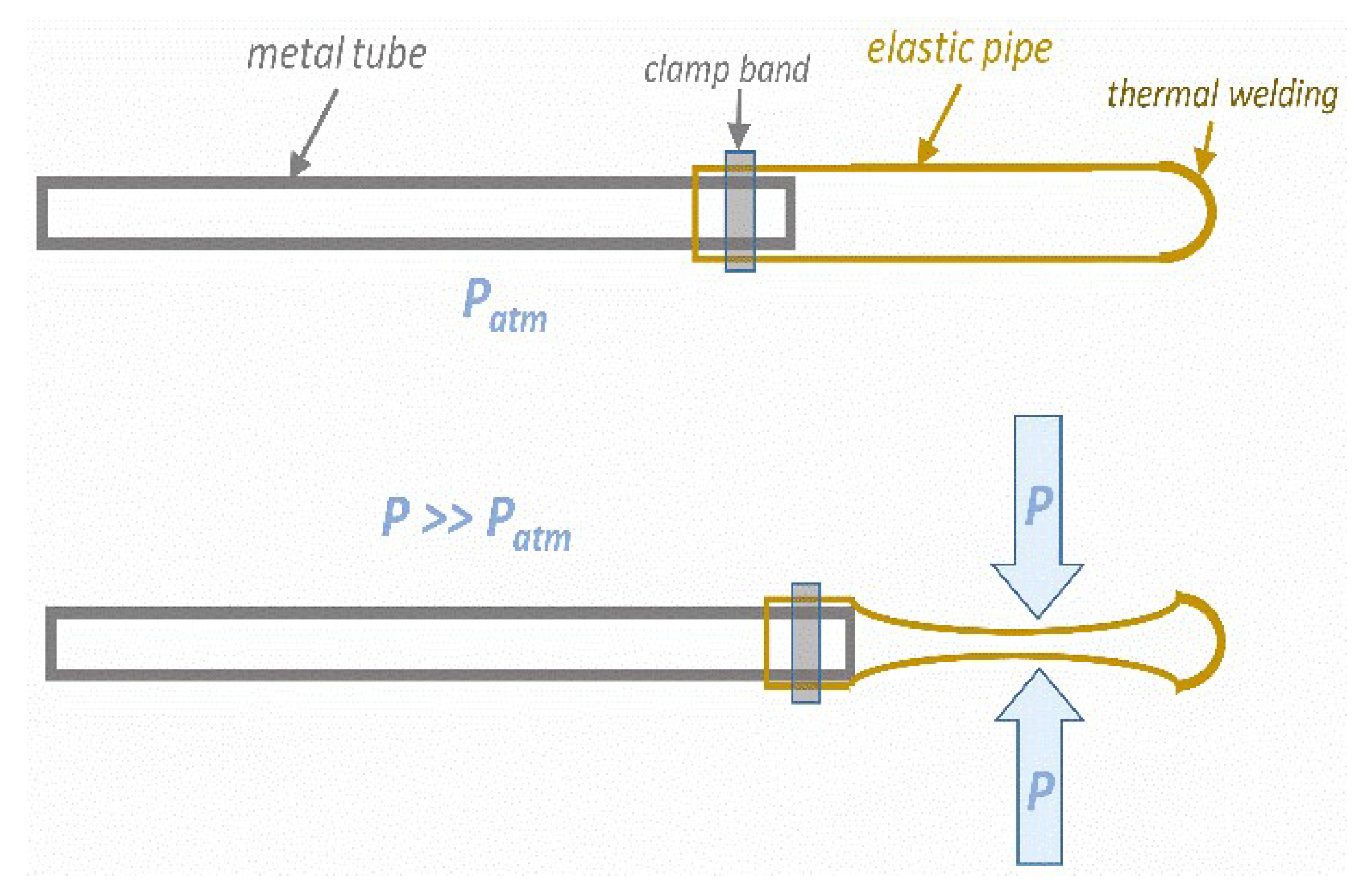 Foods 13 03028 g008 Foods 13 03028 g008