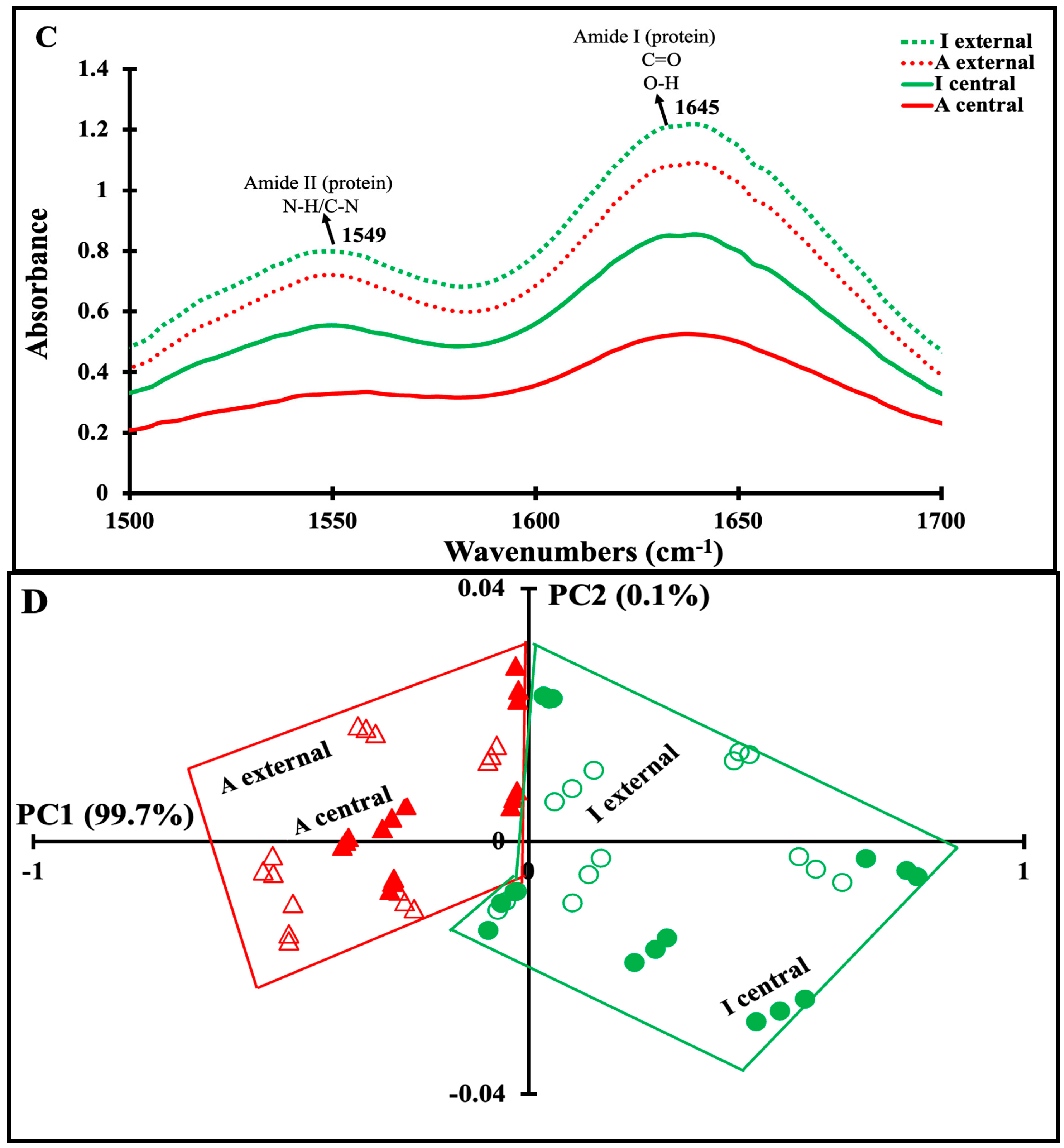 Foods 13 03086 g003b Foods 13 03086 g003b