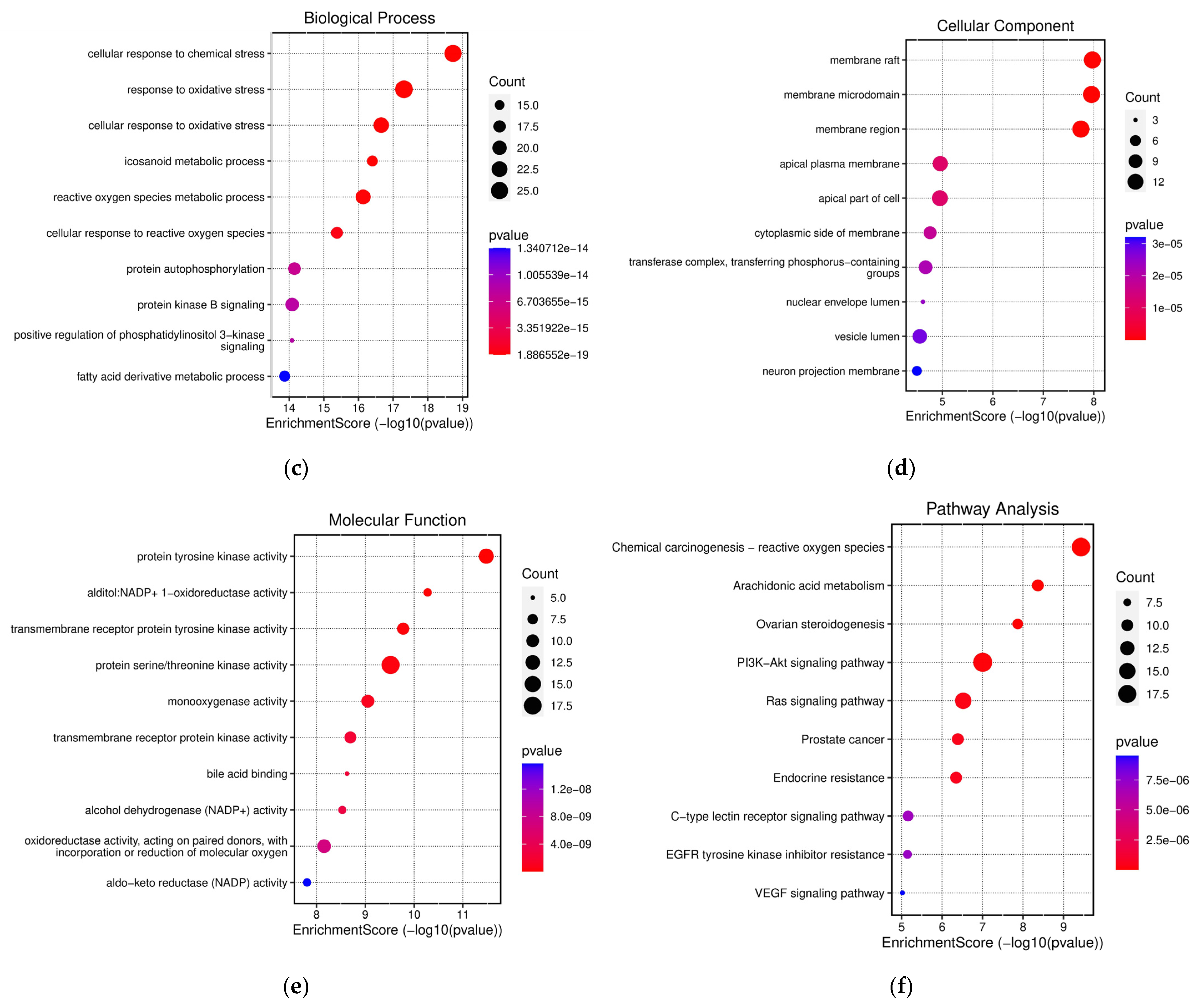 Foods 13 03116 g004b