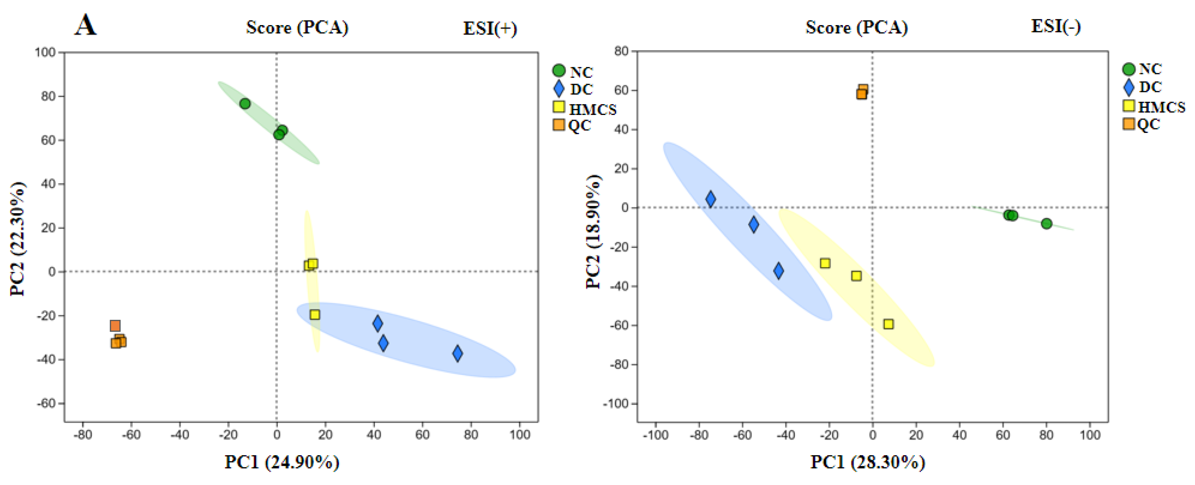 Foods 13 03163 g006a