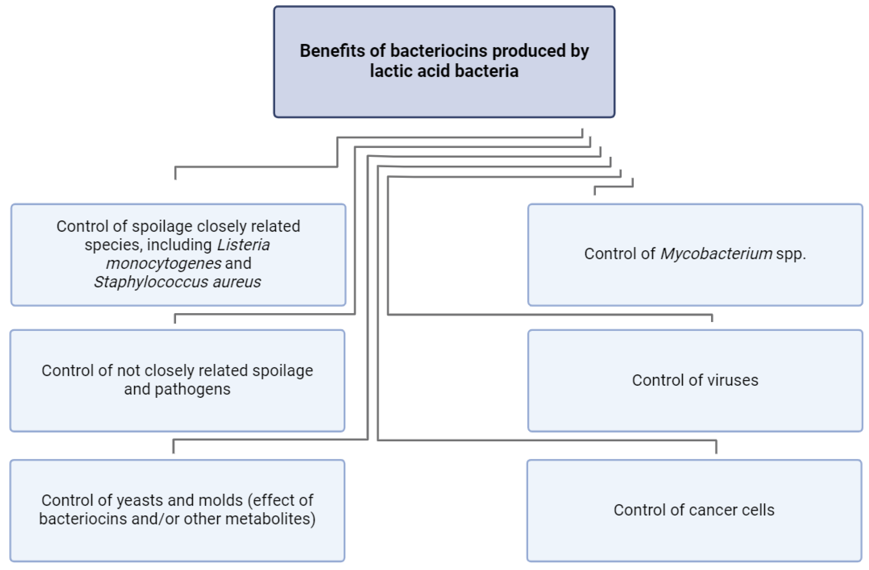 Foods 13 03170 g003 Foods 13 03170 g003