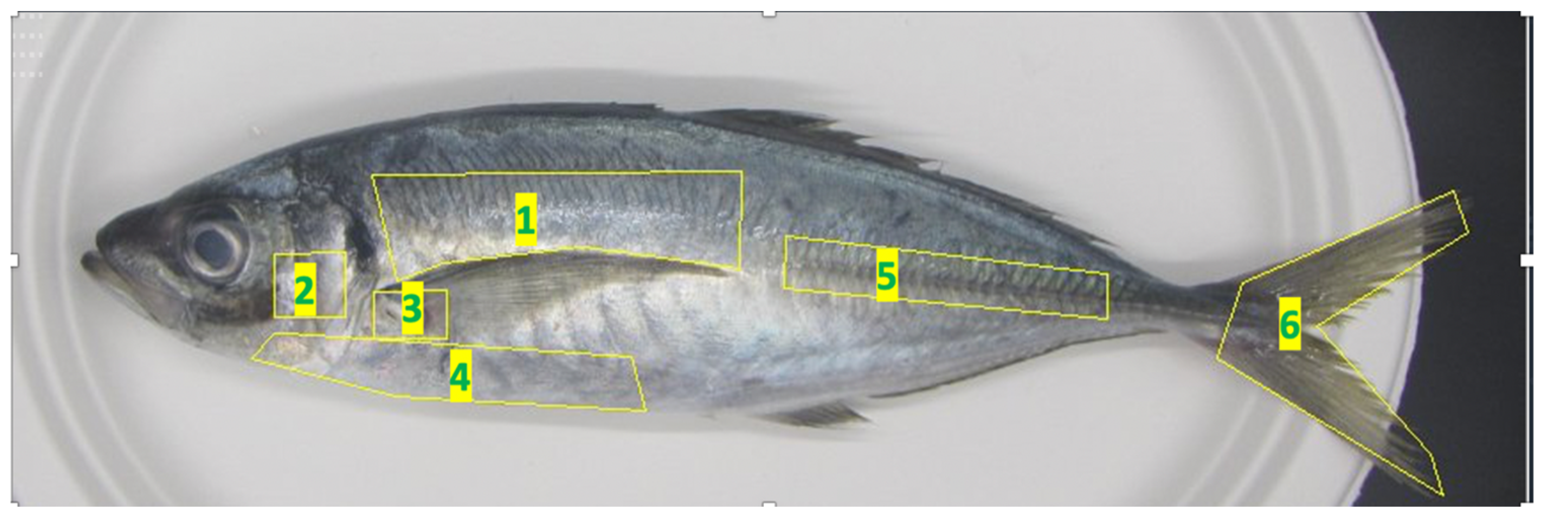 Foods 13 03191 g002 Foods 13 03191 g002