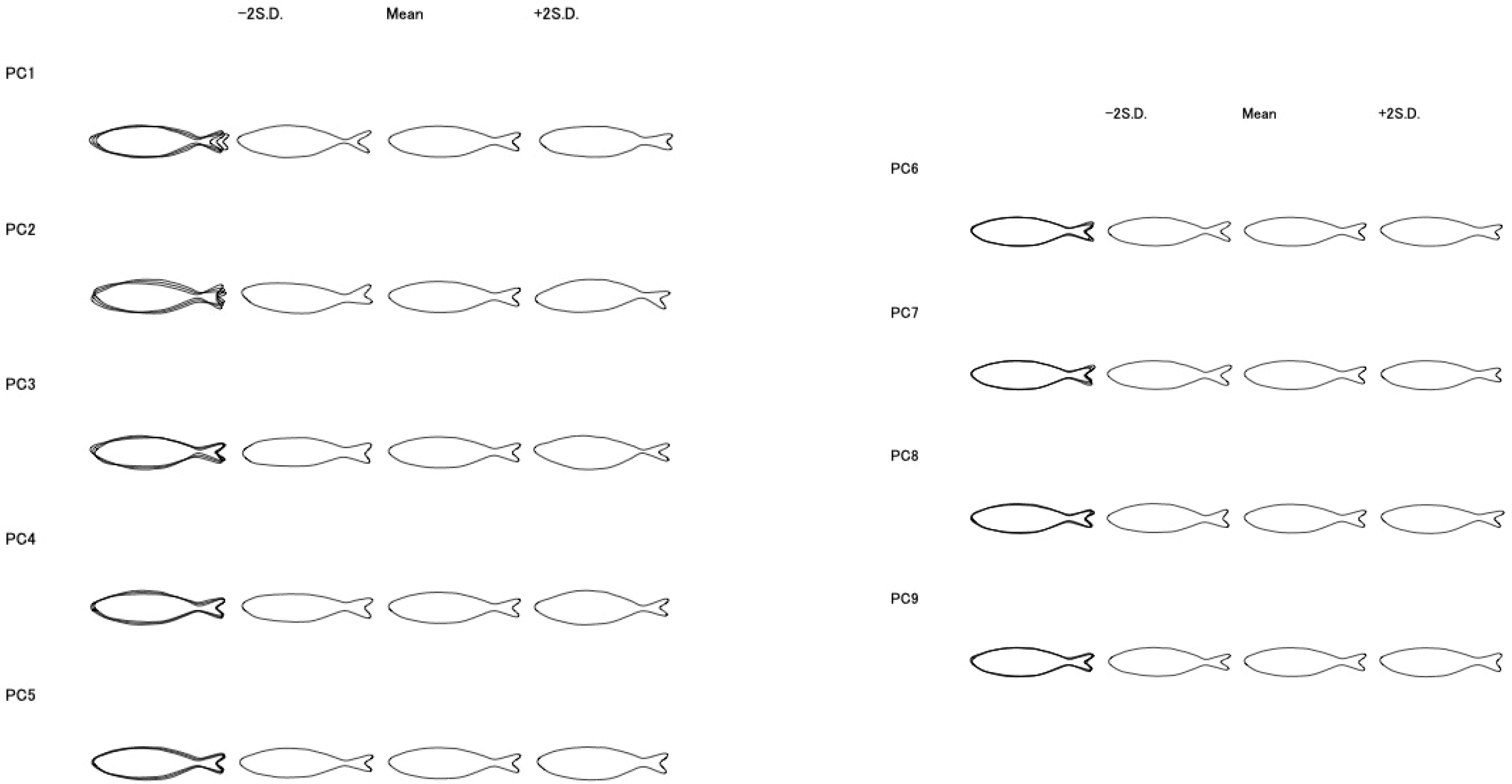 Foods 13 03191 g005 Foods 13 03191 g005
