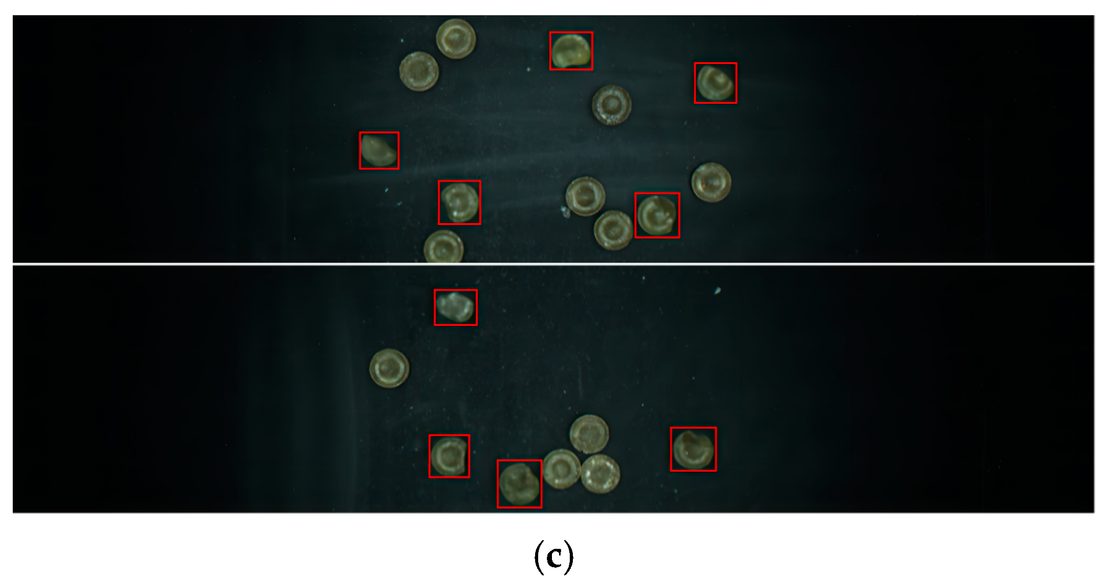 Foods 13 03343 g001b