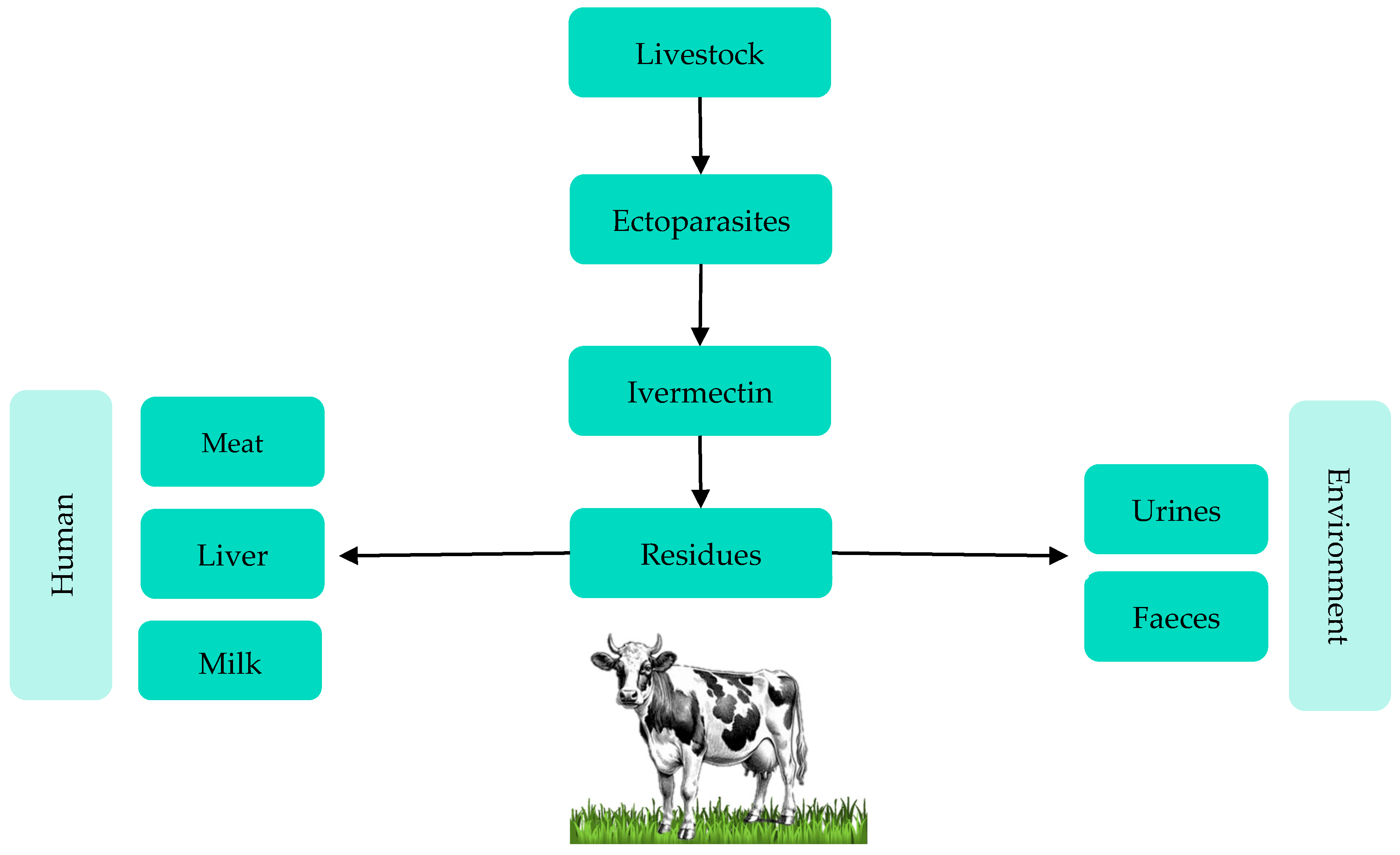 Foods 13 03470 g001 Foods 13 03470 g001
