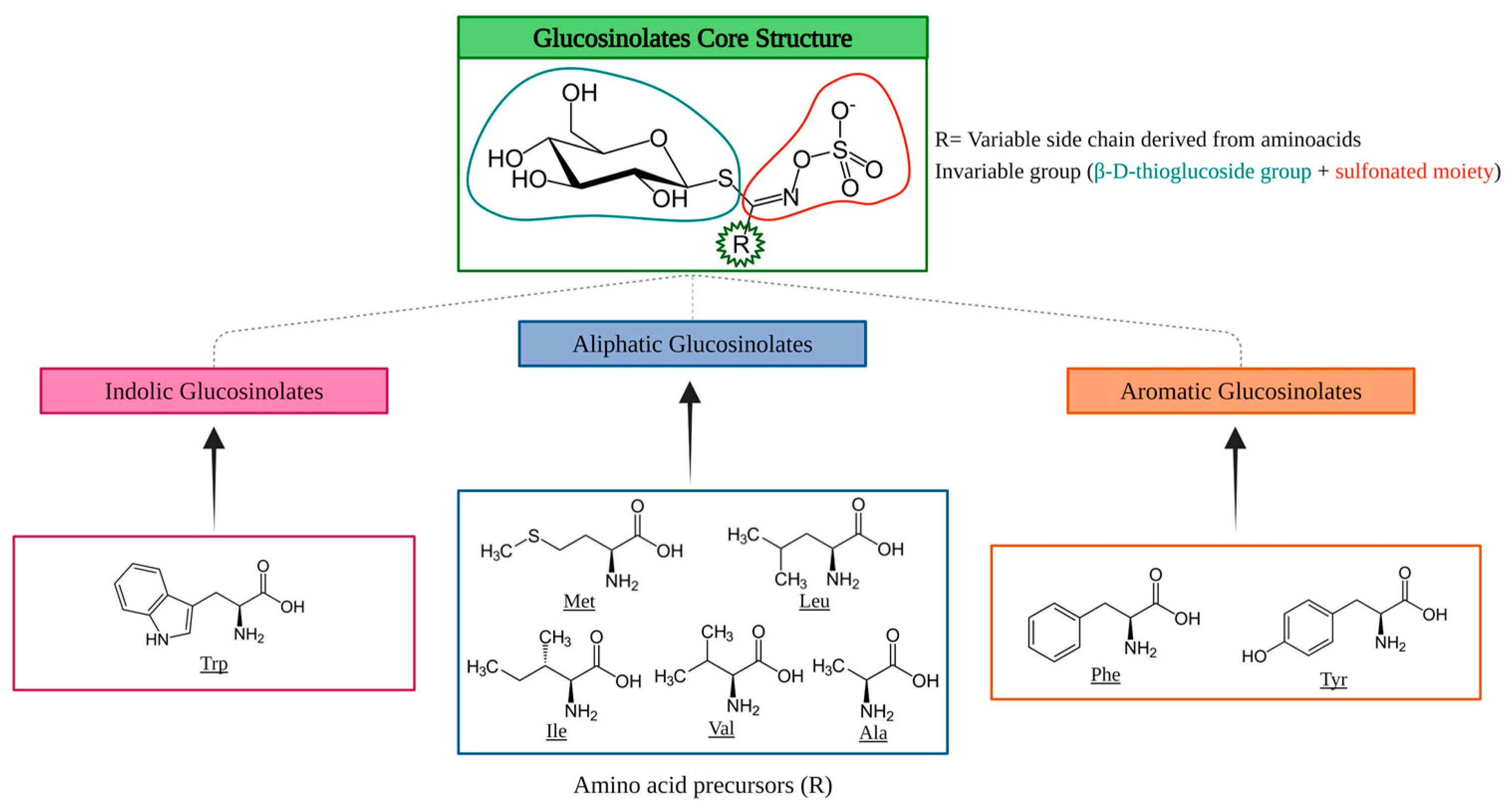 Foods 13 03513 g002 Foods 13 03513 g002