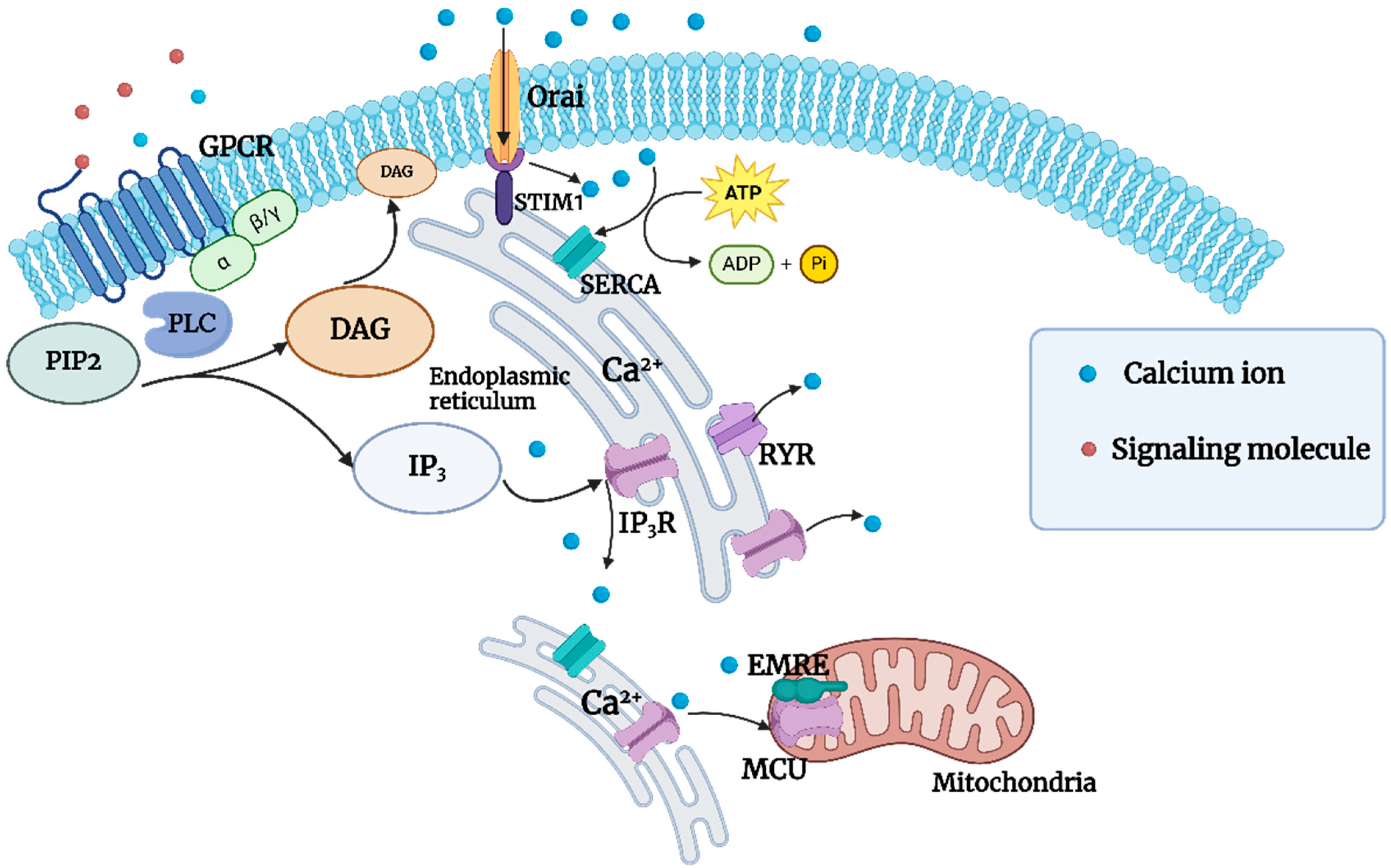 Foods 13 03612 g002 Foods 13 03612 g002