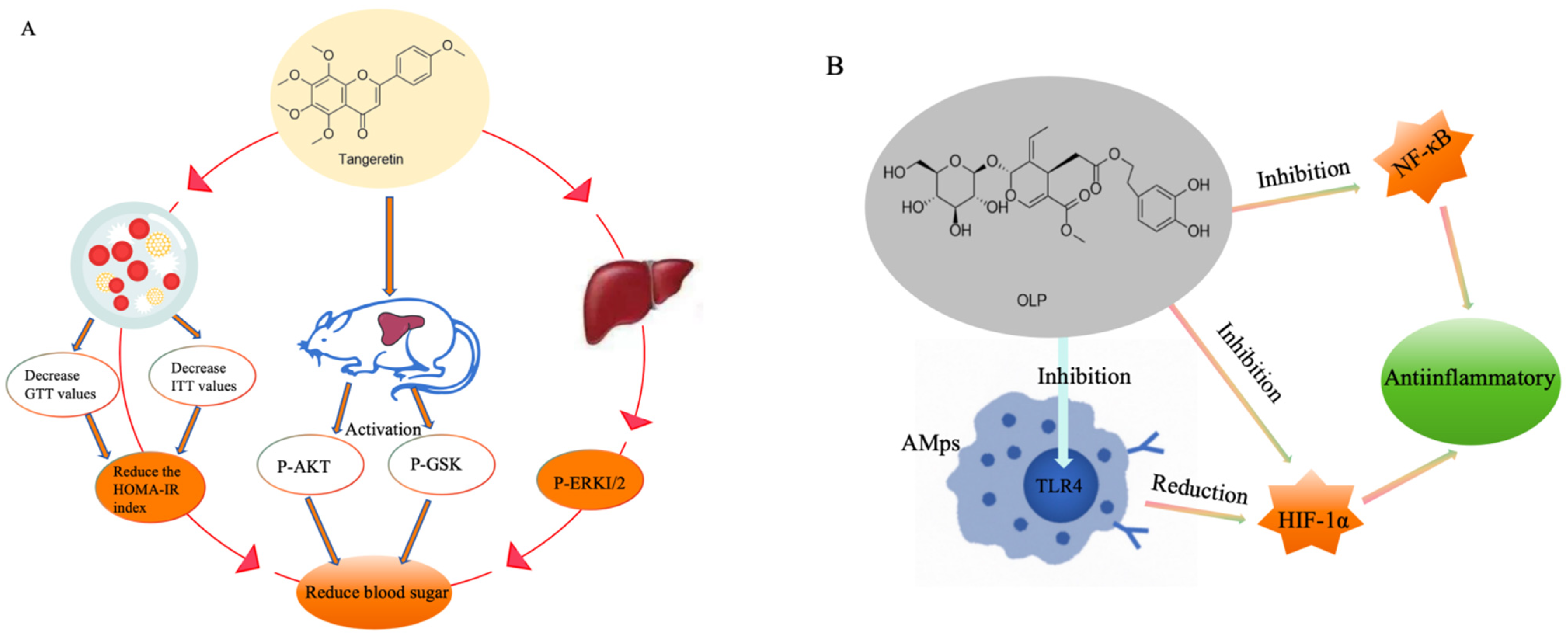 Foods 13 03747 g004a