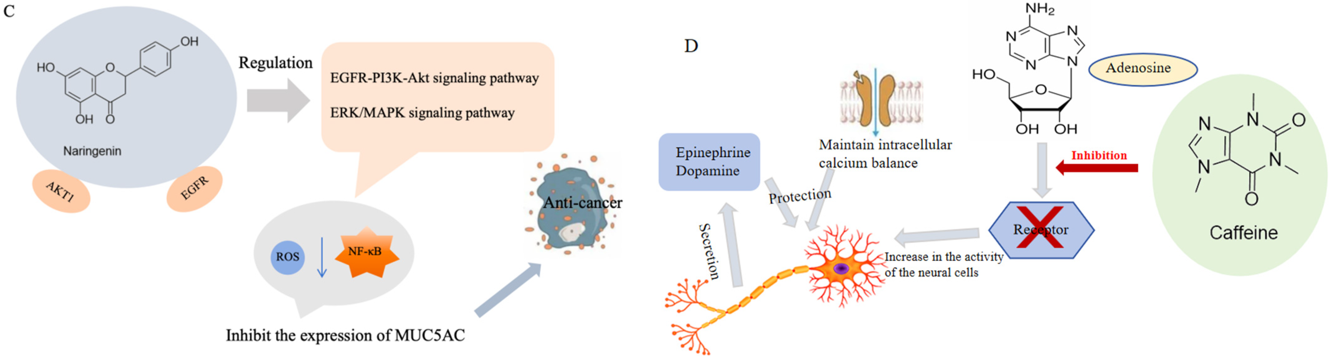 Foods 13 03747 g004b