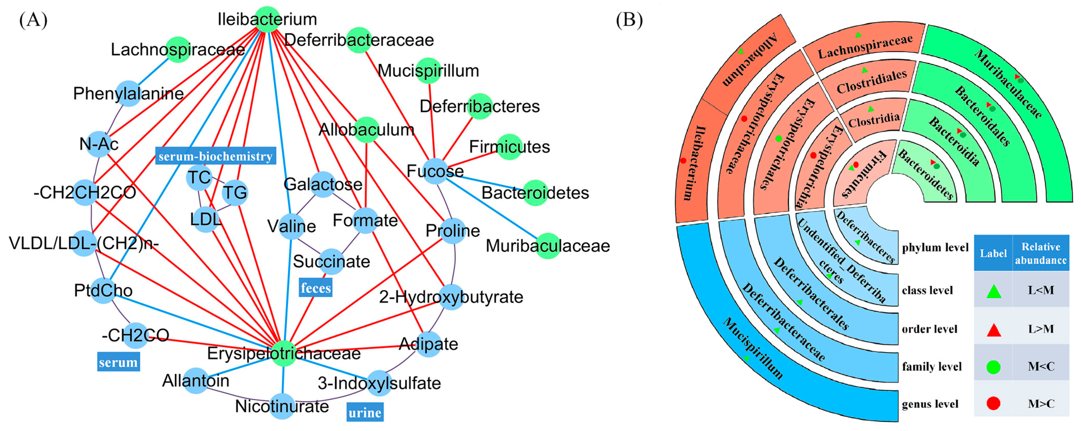 Foods 13 04058 g005 Foods 13 04058 g005