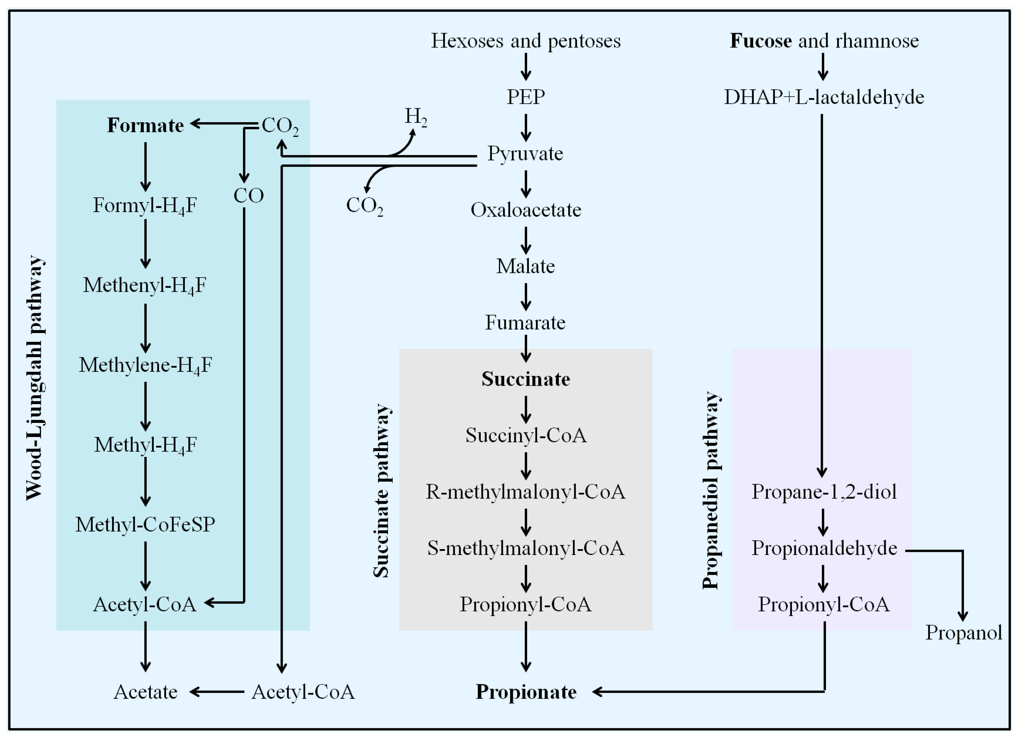 Foods 13 04058 g006 Foods 13 04058 g006