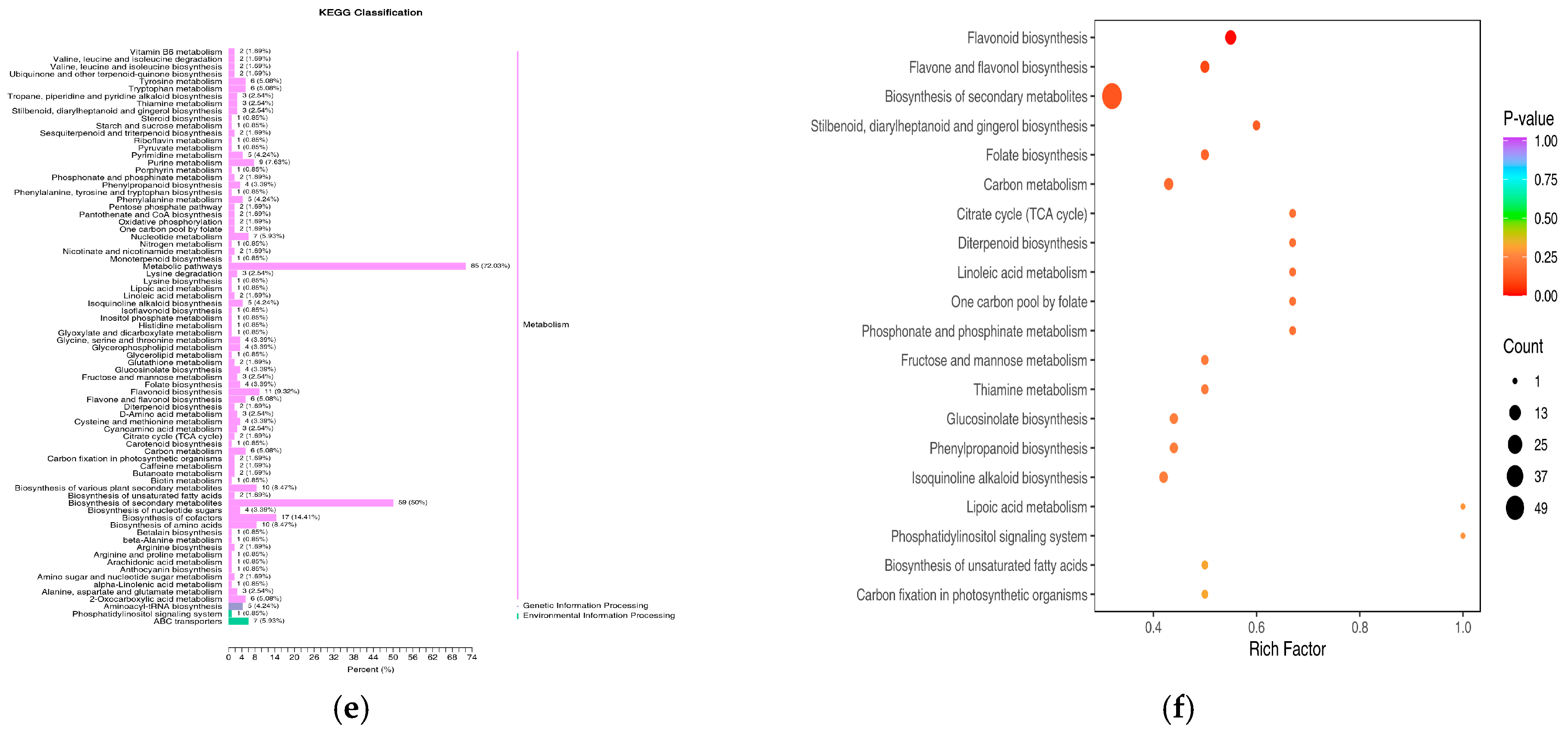 Foods 14 00097 g004b Foods 14 00097 g004b