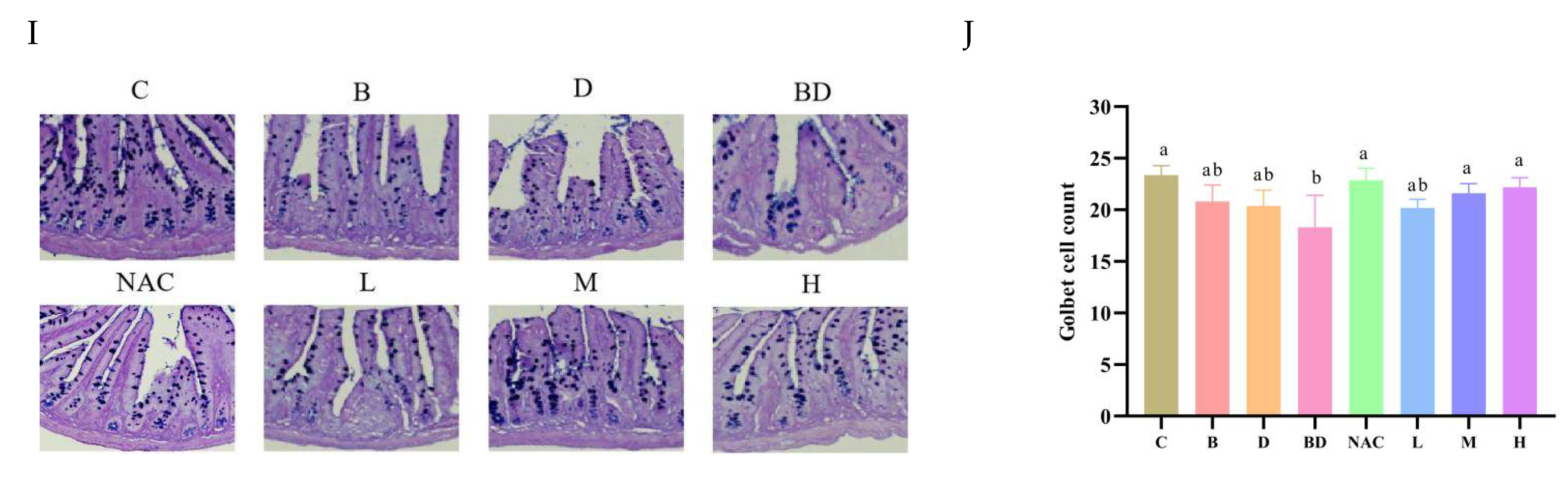 Foods 14 00214 g004b