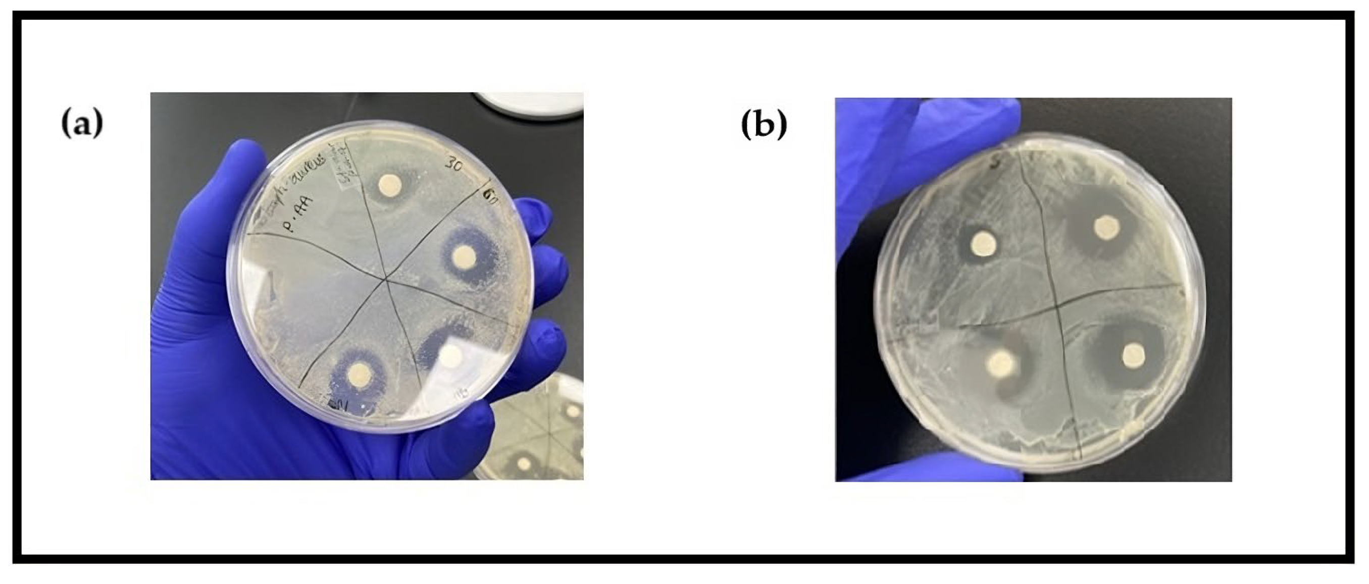 Foods 14 00249 g0a1 Foods 14 00249 g0a1