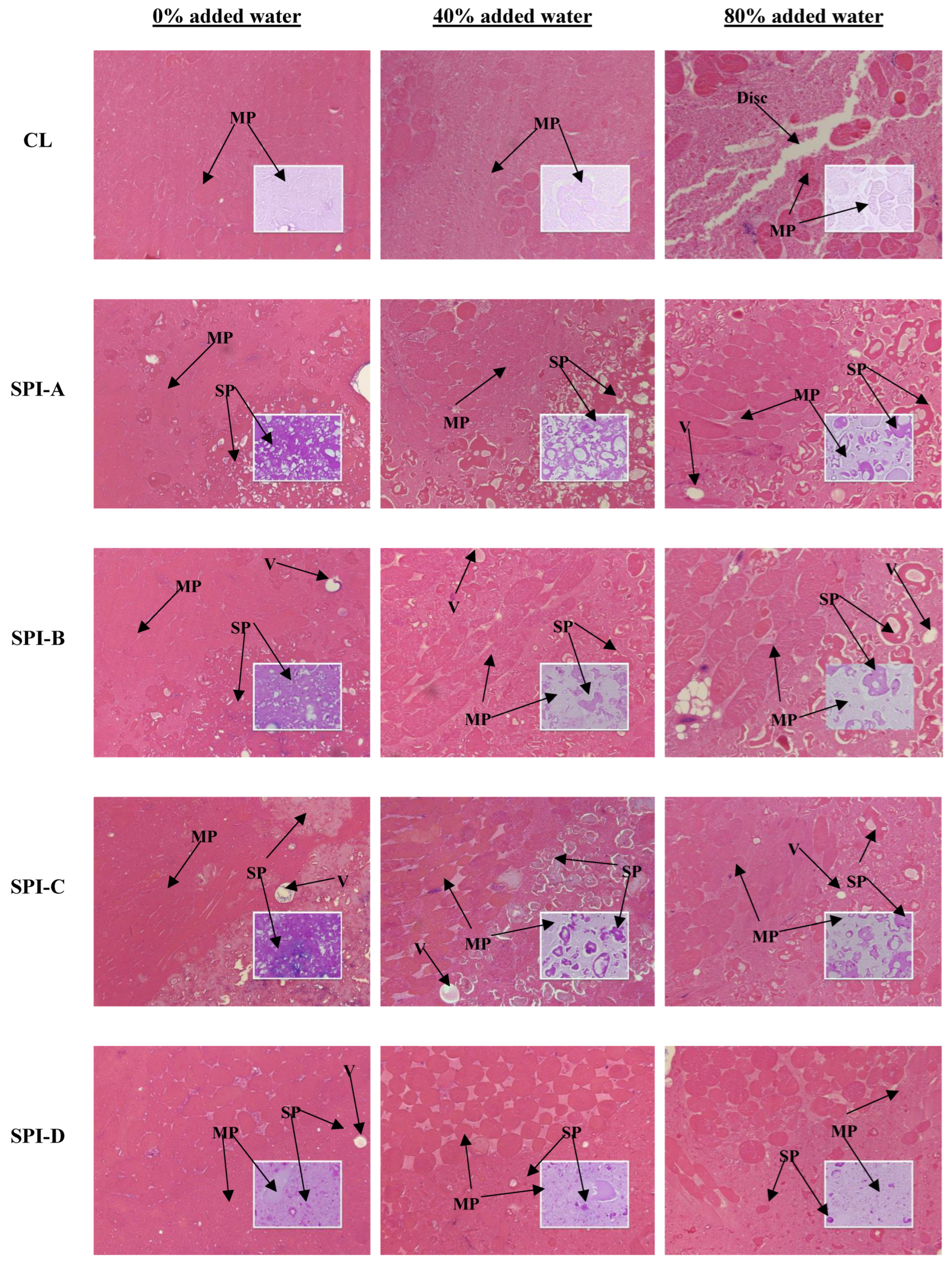 Foods 14 00427 g004a