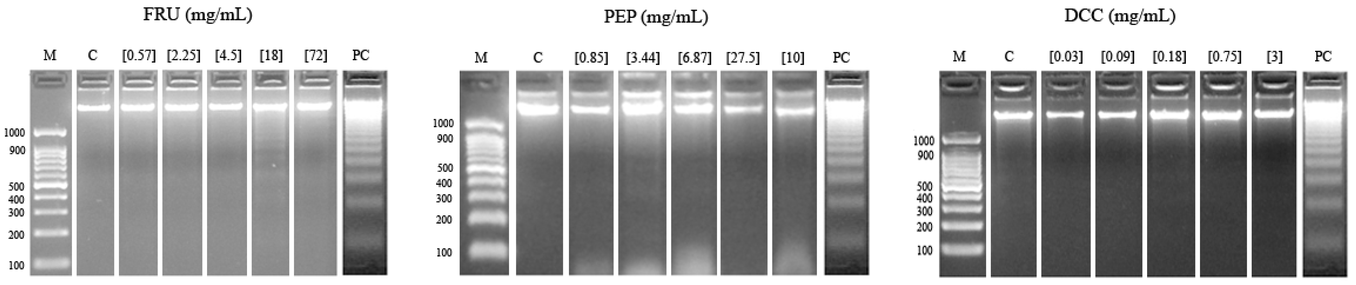 Foods 14 00648 g003 Foods 14 00648 g003