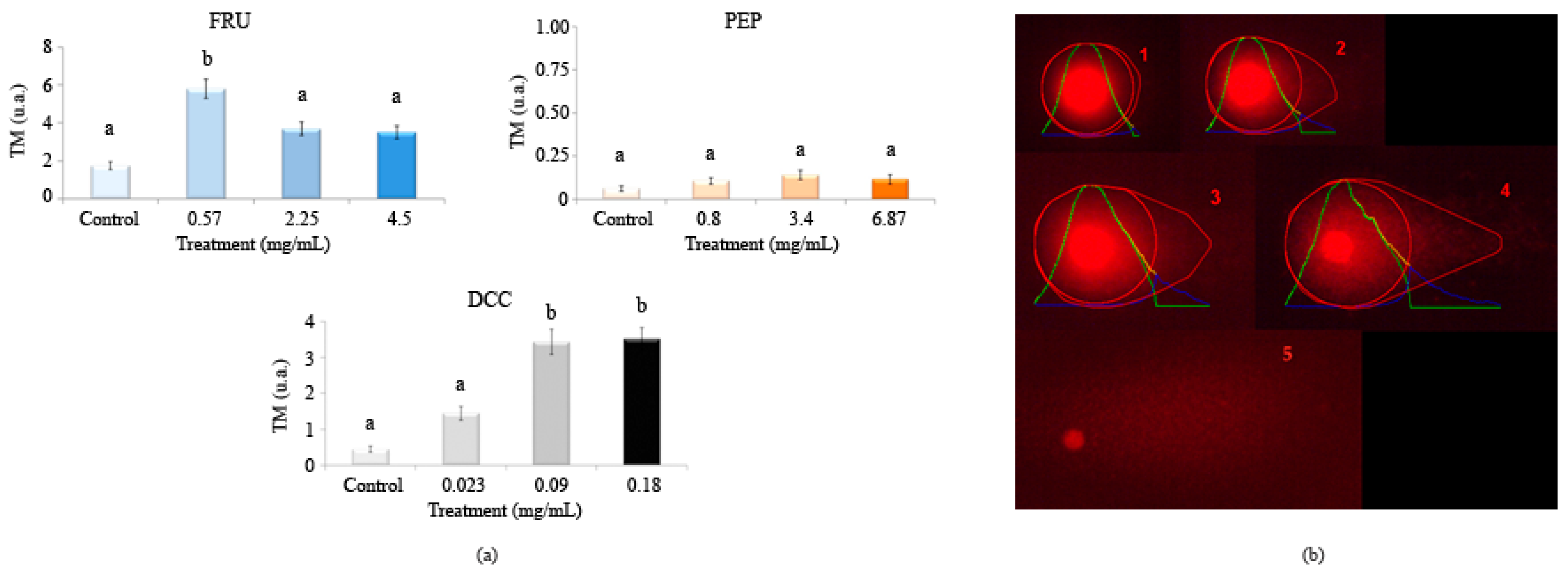 Foods 14 00648 g004 Foods 14 00648 g004