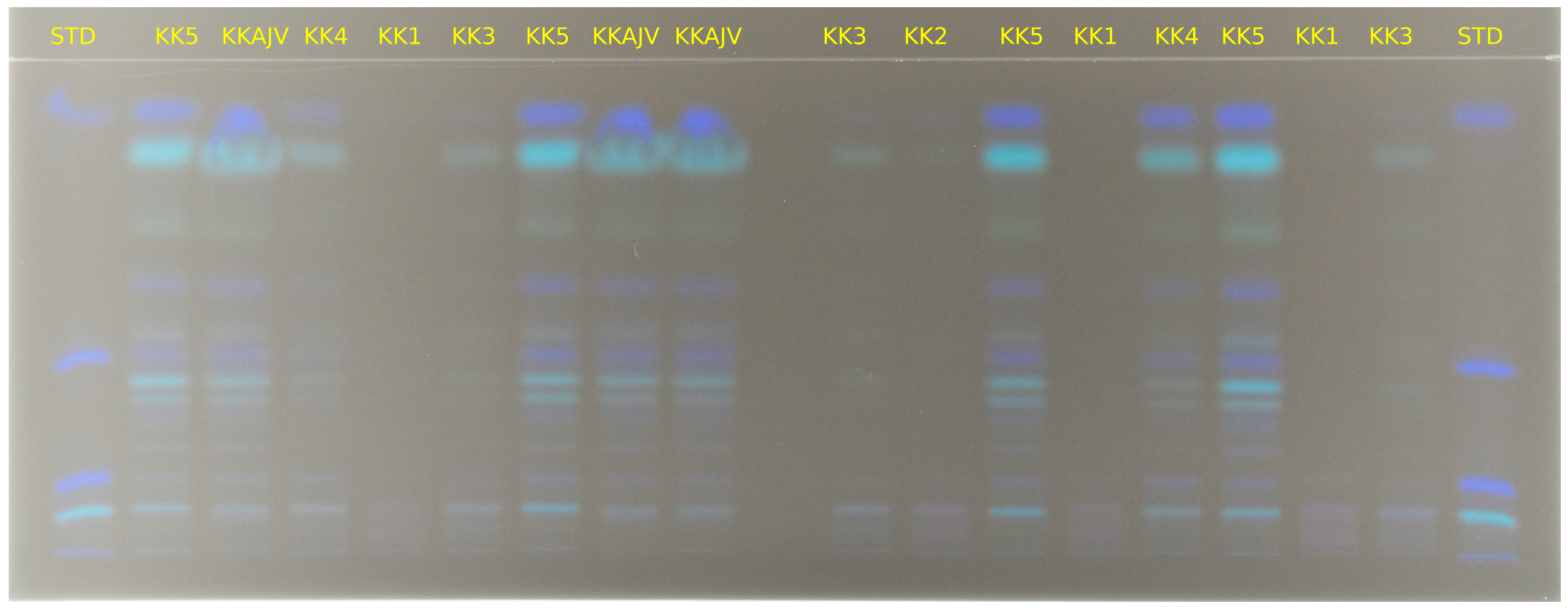 Foods 14 00914 g005 Foods 14 00914 g005