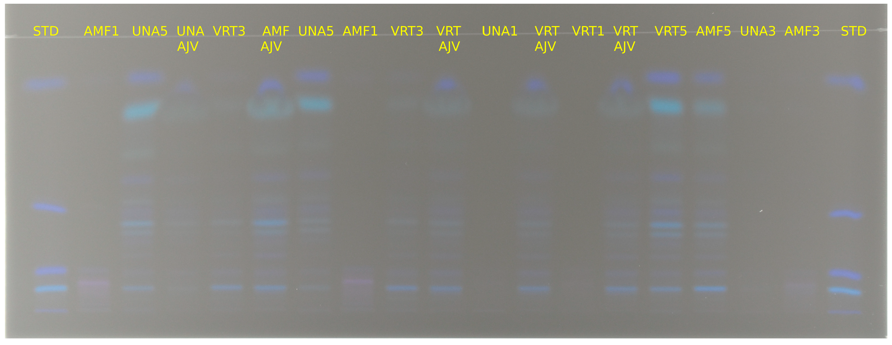 Foods 14 00914 g006 Foods 14 00914 g006