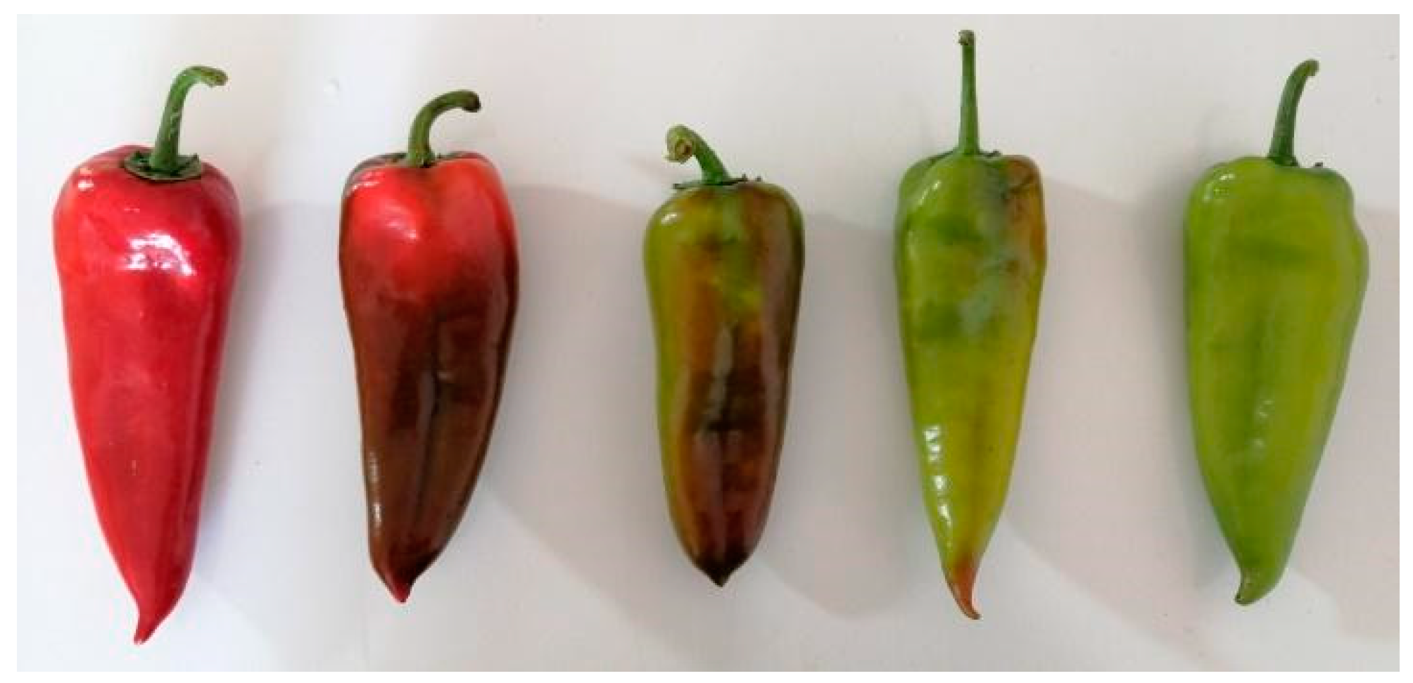 Foods 14 00914 g0a1 Foods 14 00914 g0a1