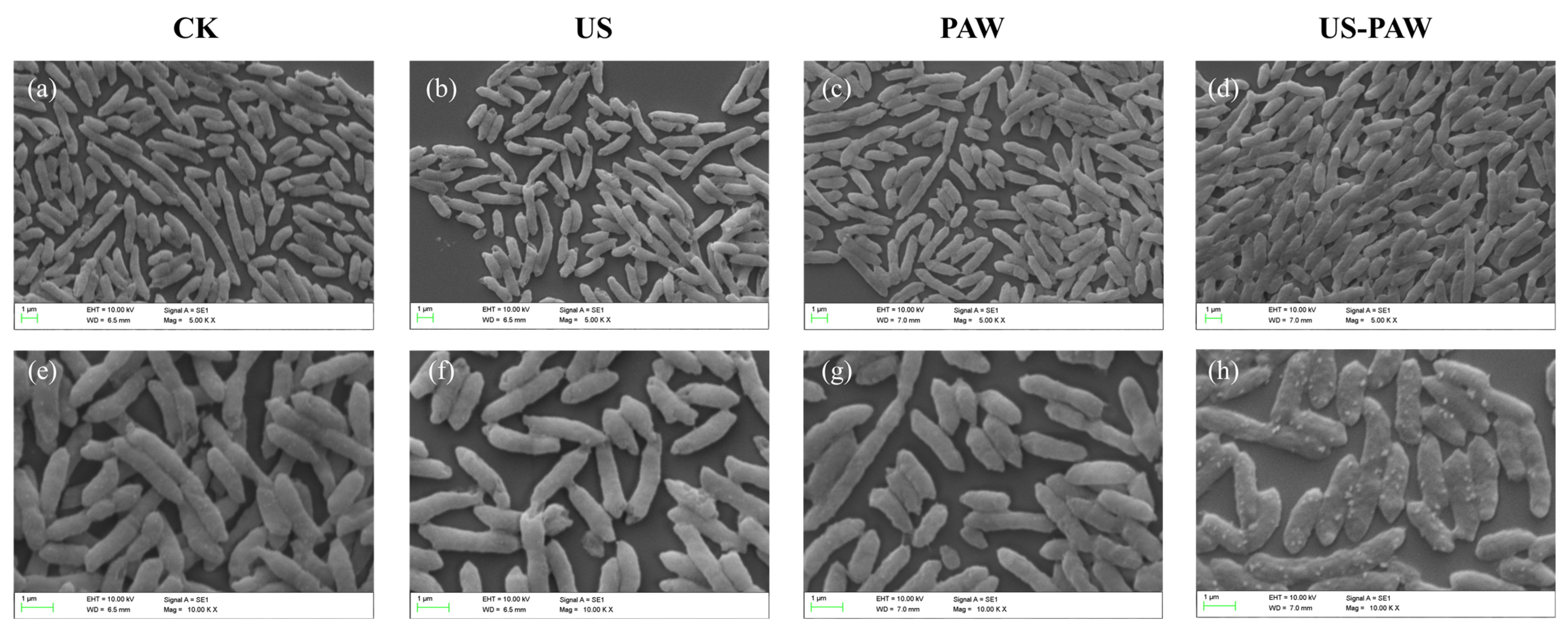 Foods 14 00926 g003 Foods 14 00926 g003