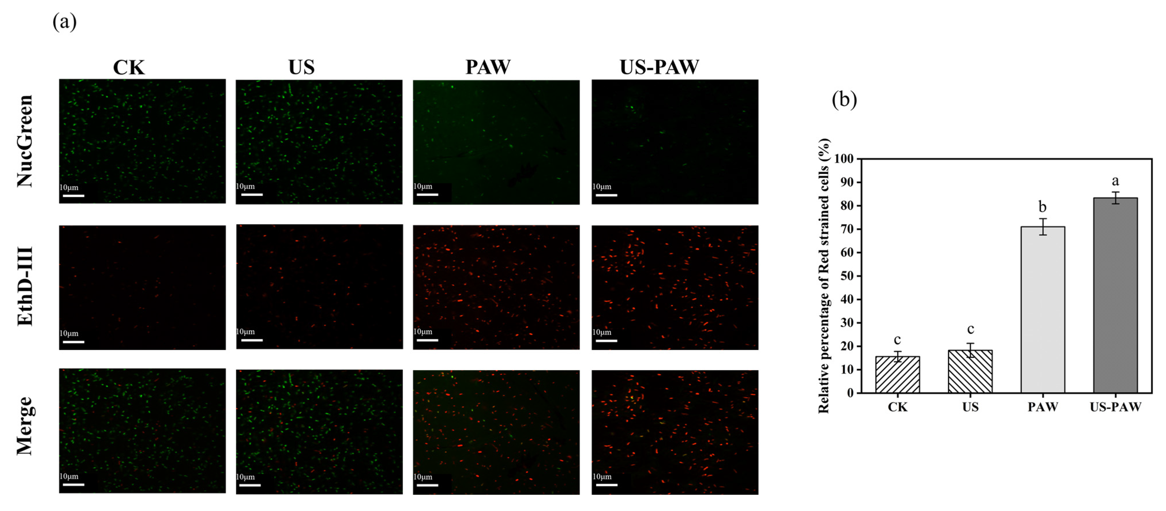 Foods 14 00926 g004 Foods 14 00926 g004
