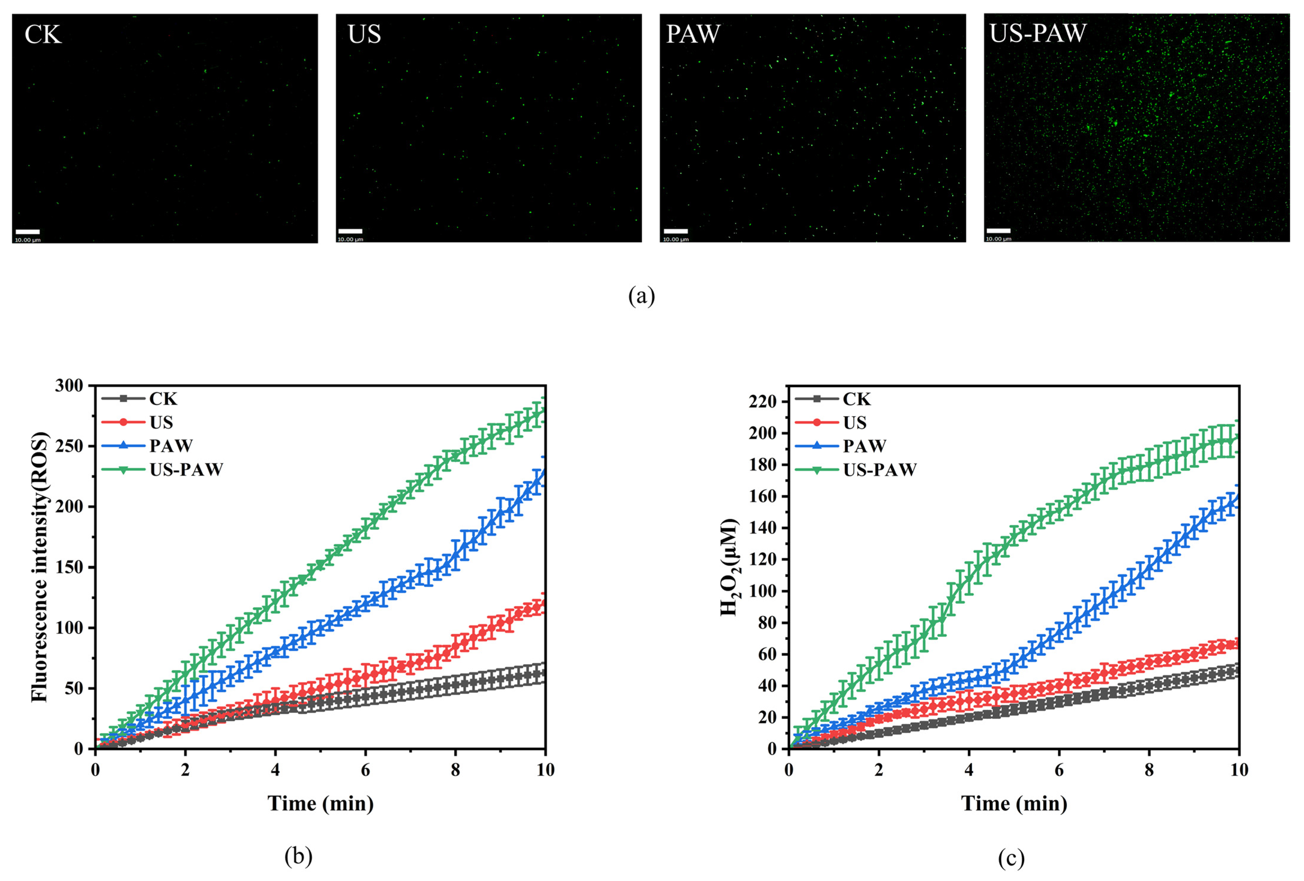 Foods 14 00926 g006 Foods 14 00926 g006