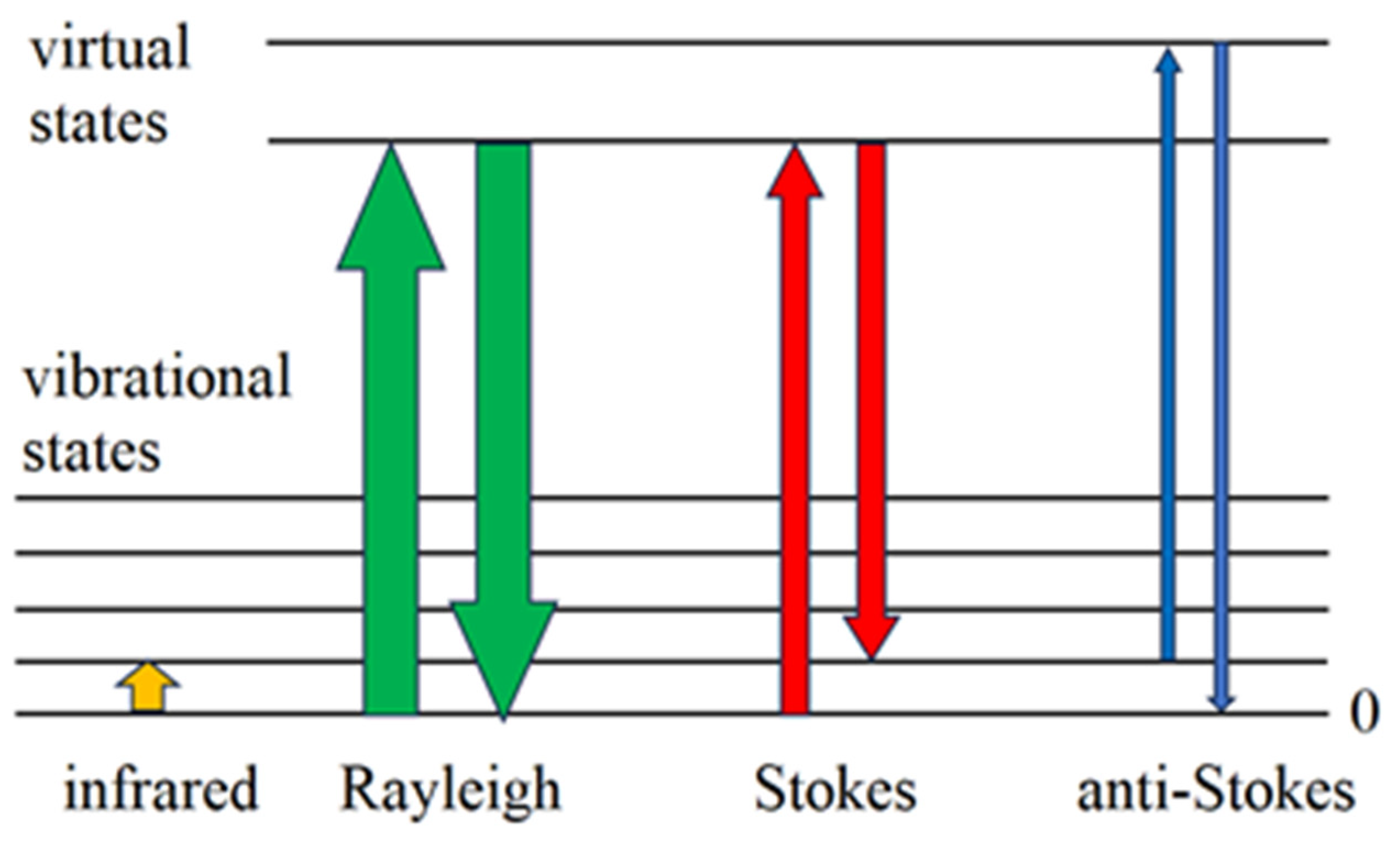 Foods 14 00953 g001 Foods 14 00953 g001