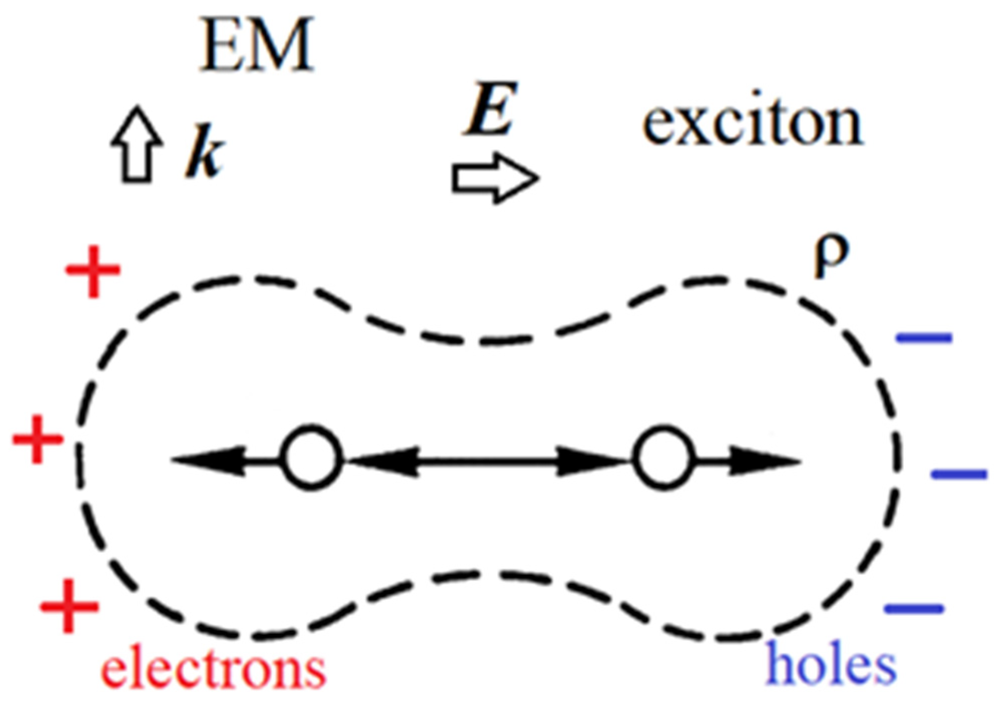 Foods 14 00953 g003 Foods 14 00953 g003