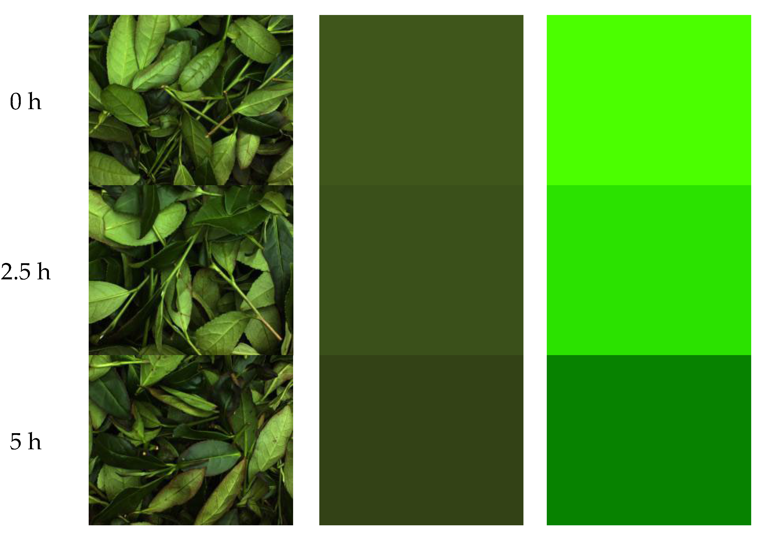 Foods 14 00983 g007a