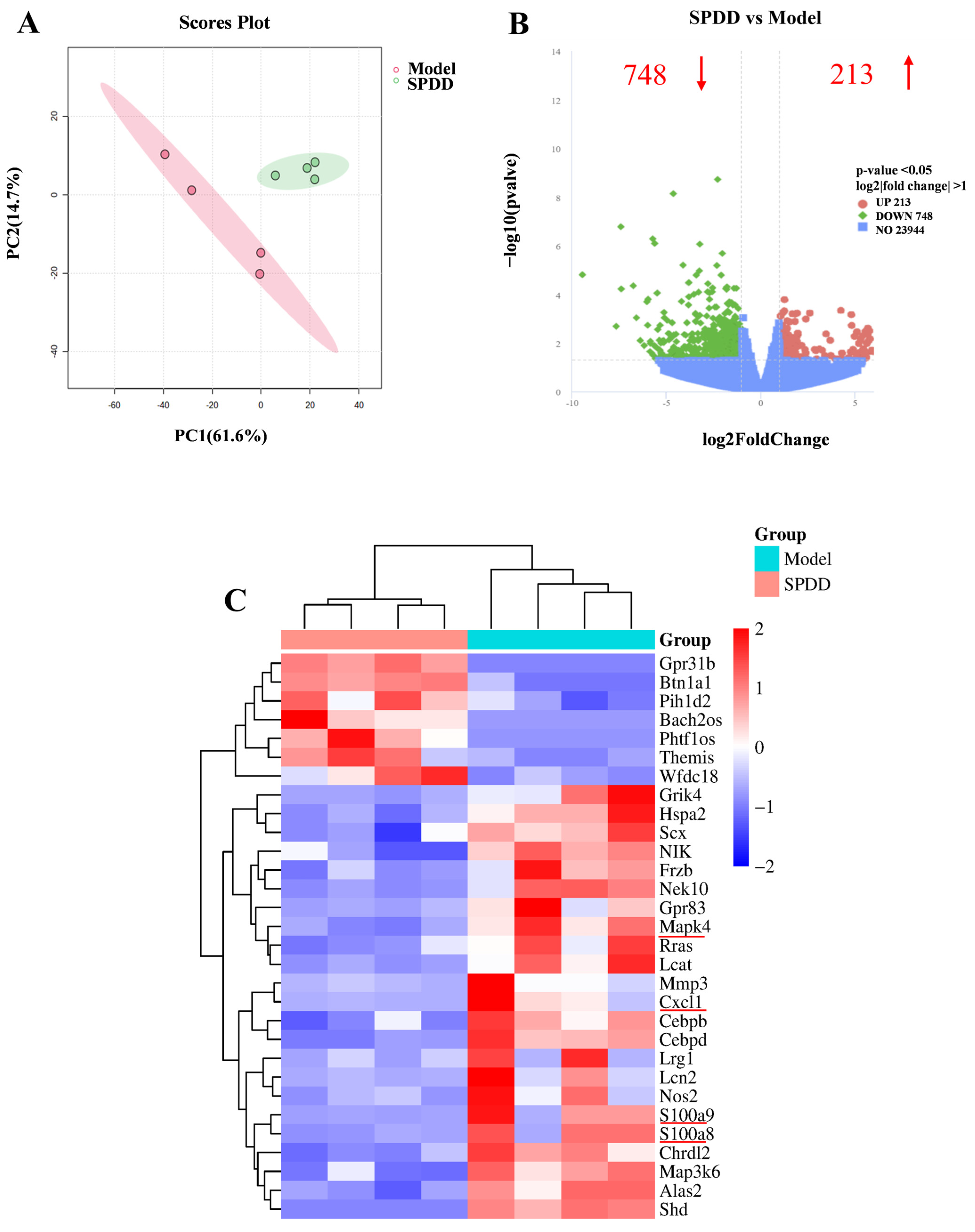 Foods 14 01110 g004a