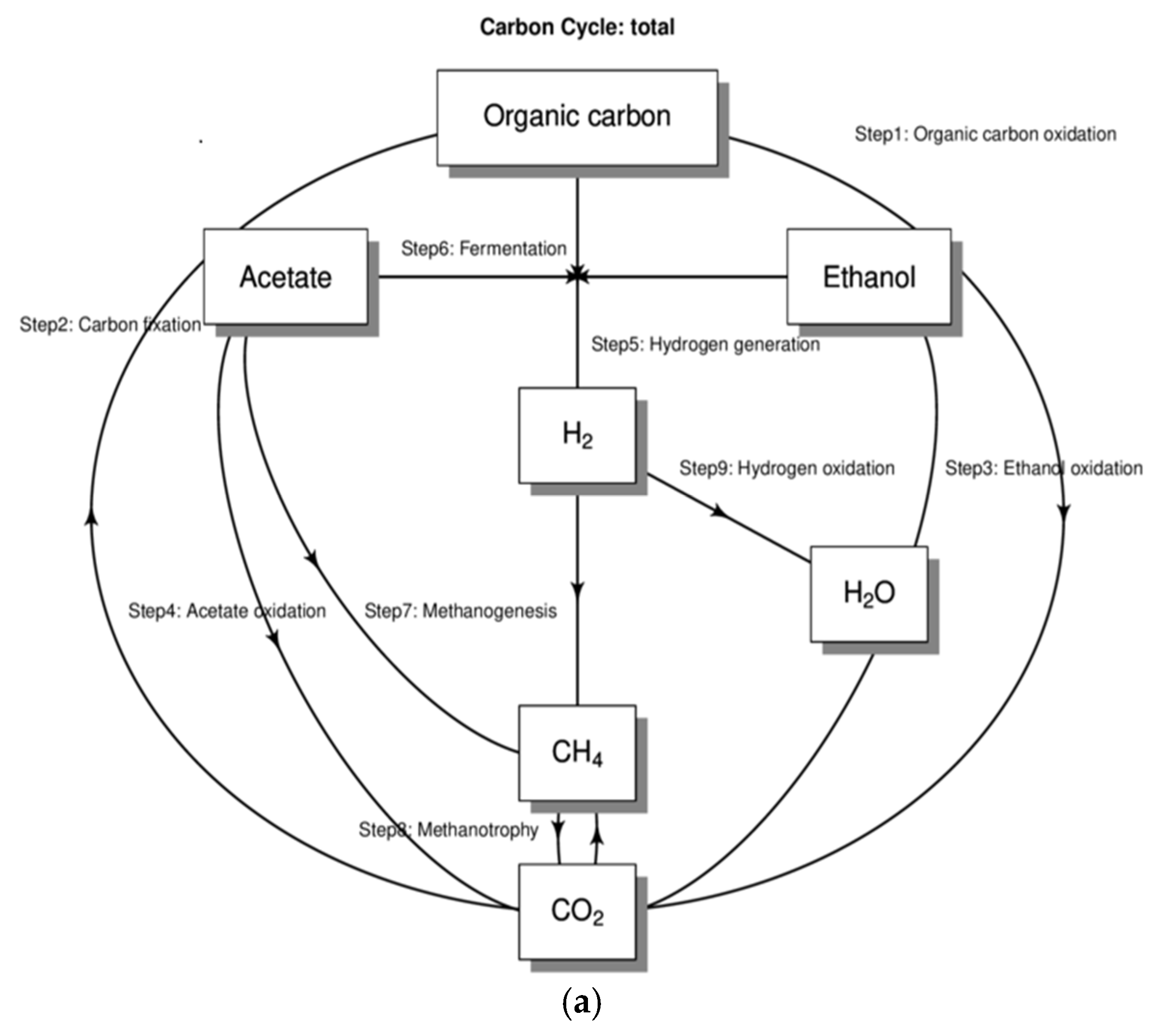 Foods 14 01121 g010a