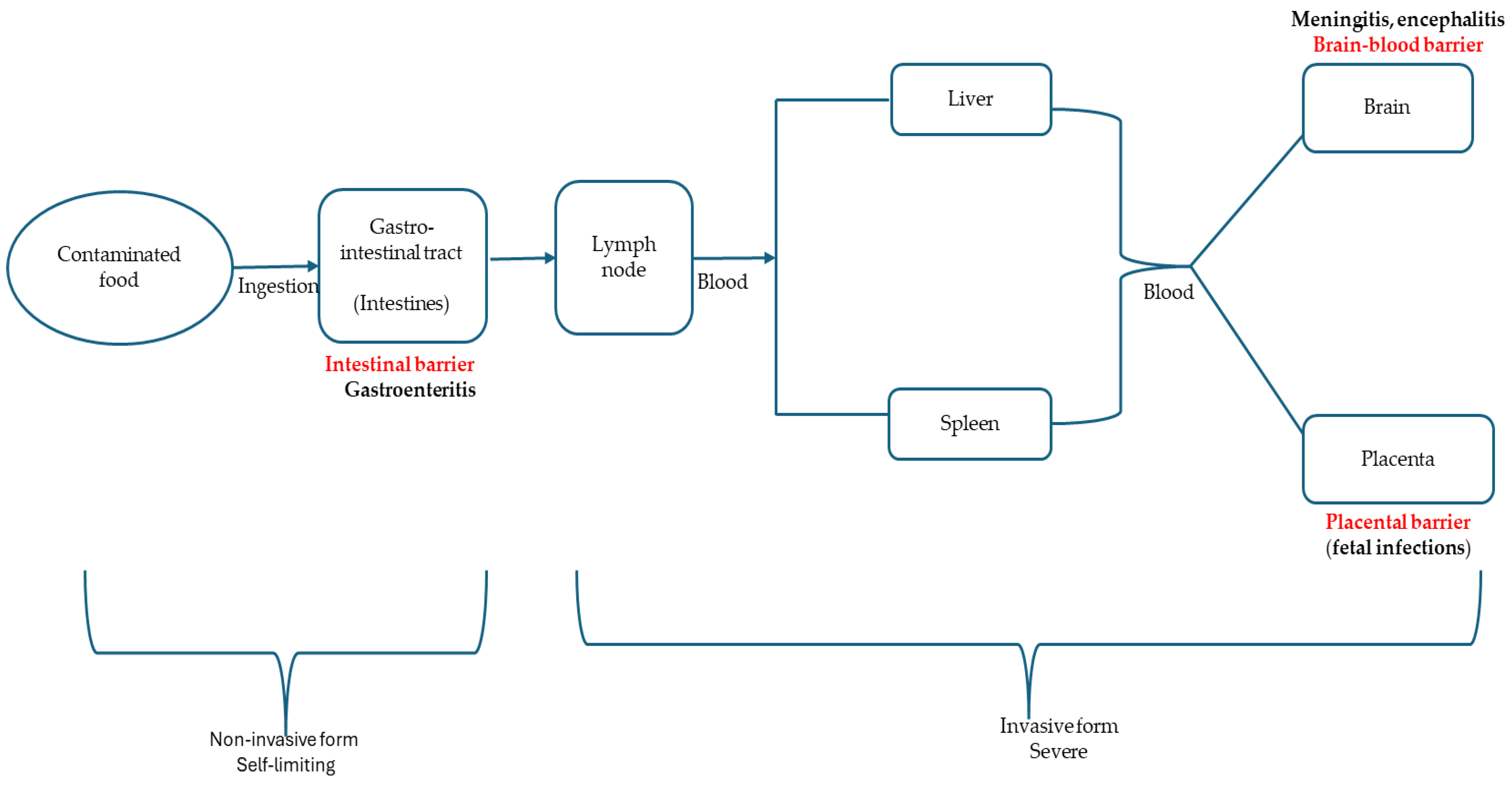 Foods 14 01266 g002 Foods 14 01266 g002
