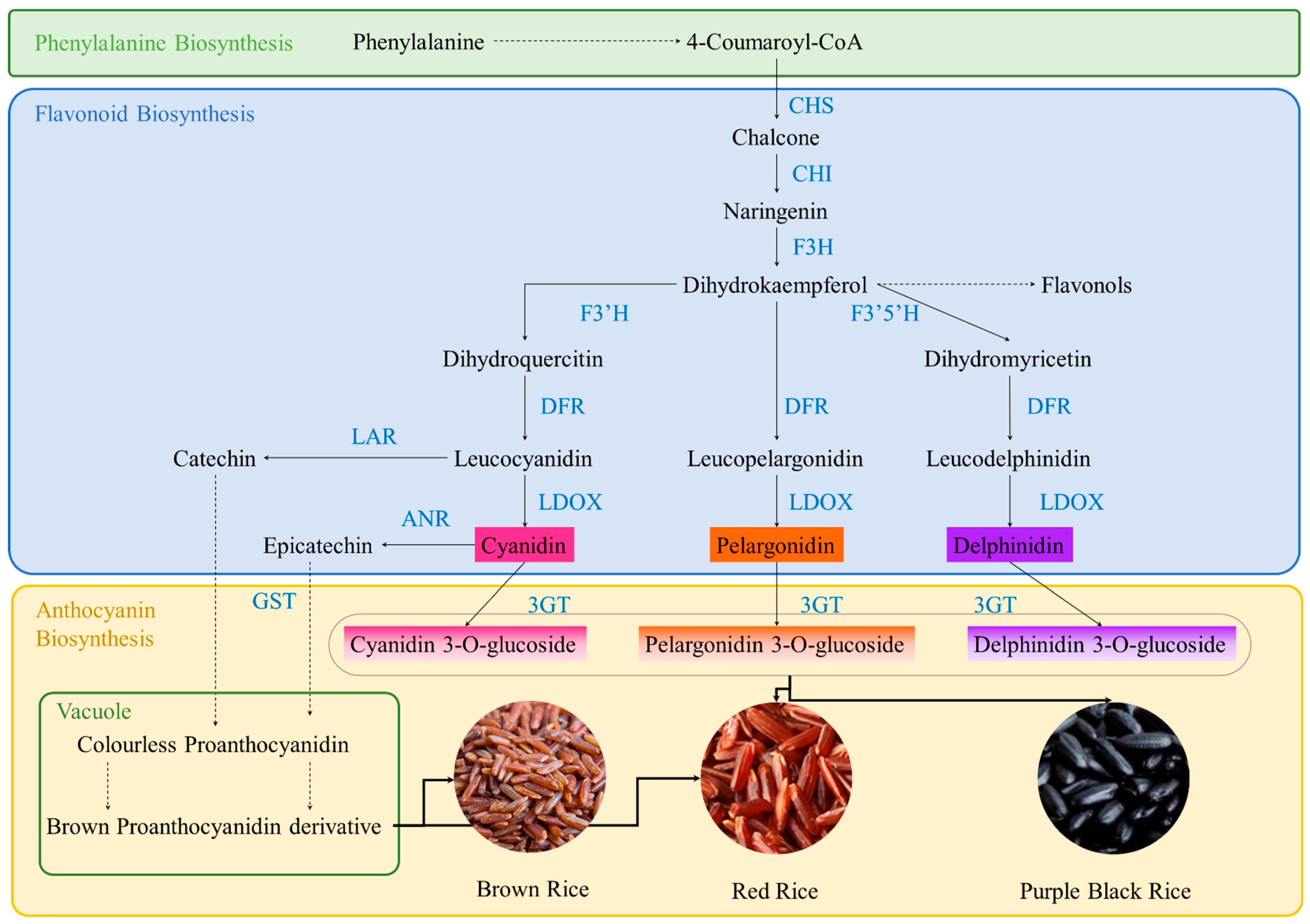 Foods 14 01394 g001 Foods 14 01394 g001