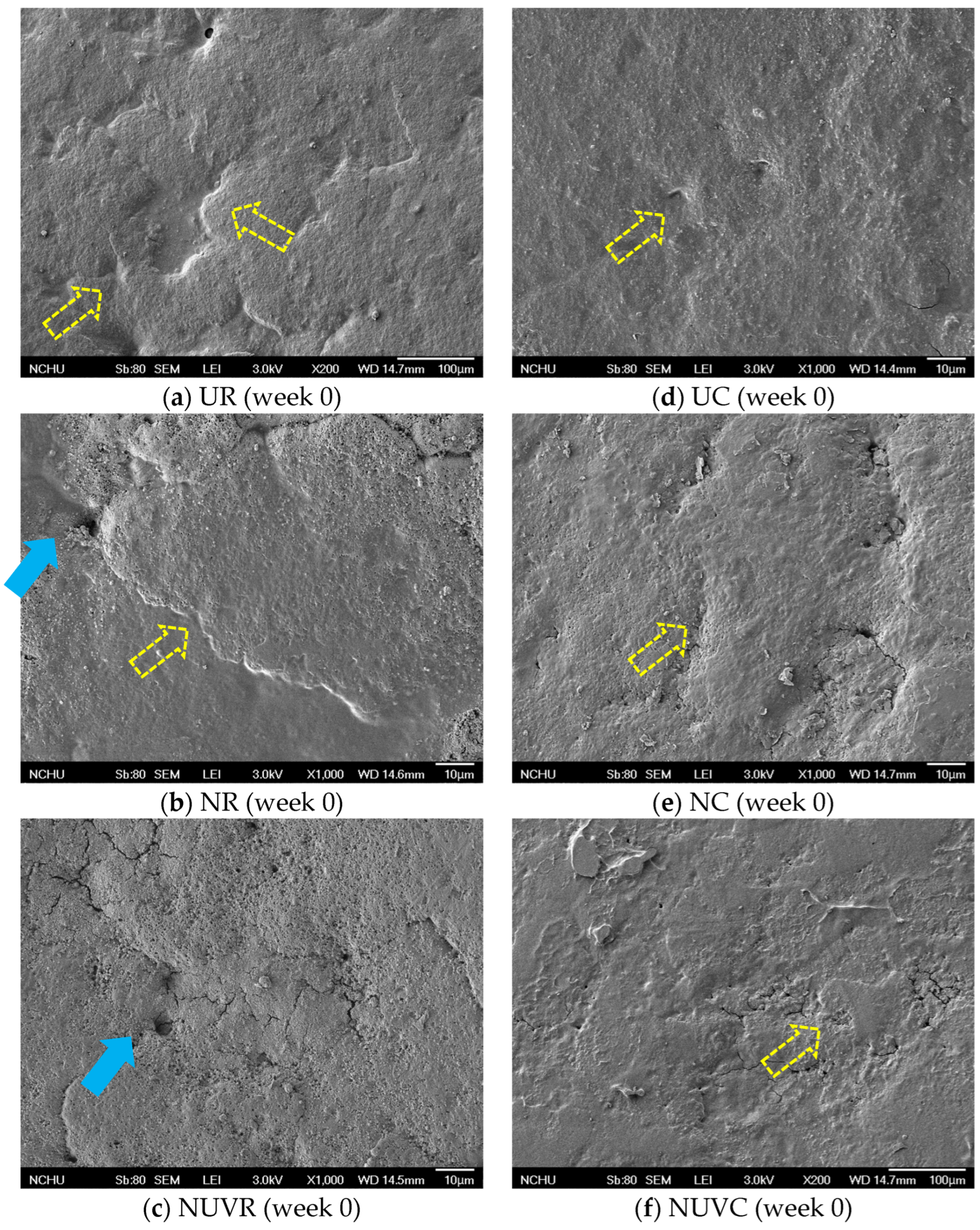 Foods 14 02156 g003a