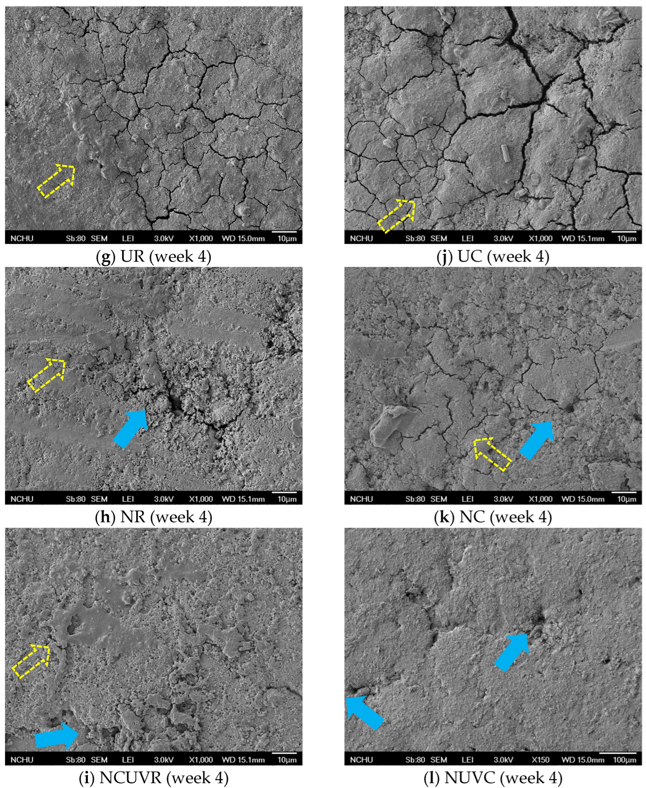 Foods 14 02156 g003b