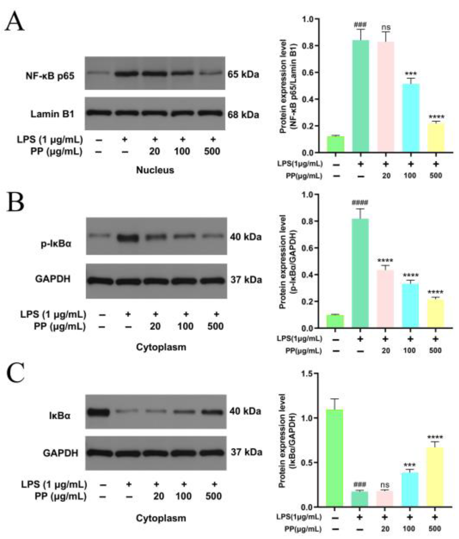 Foods 14 02903 g005 Foods 14 02903 g005