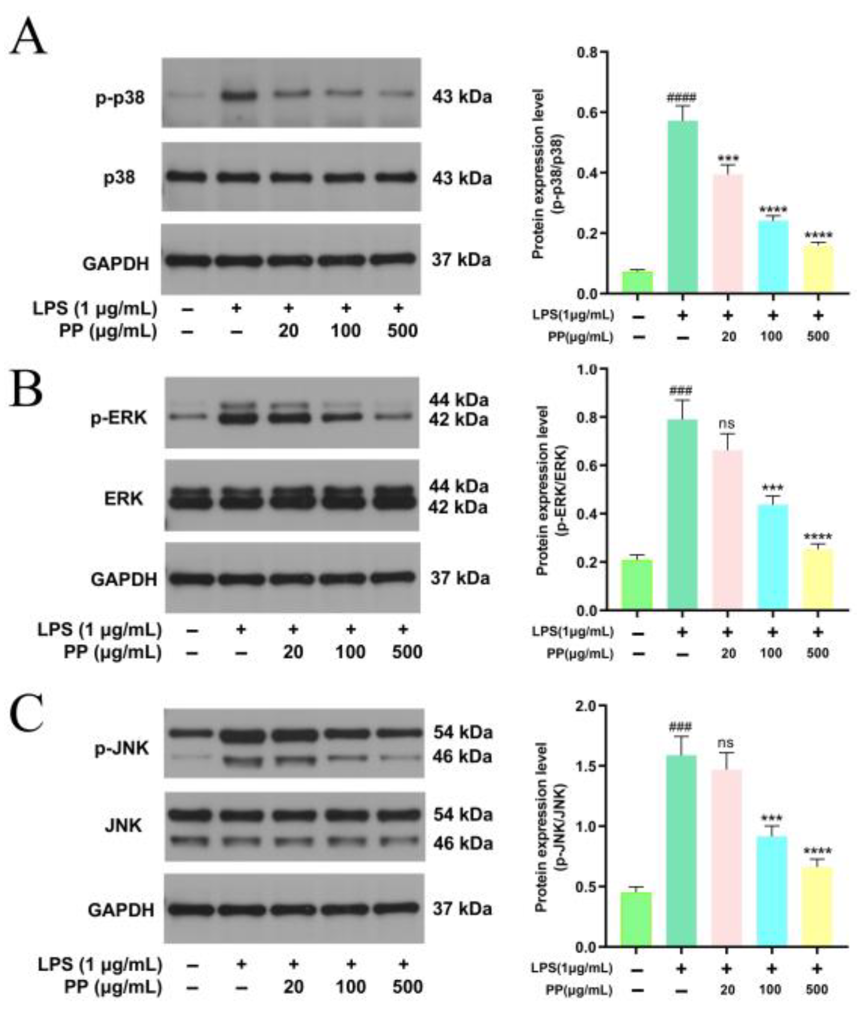 Foods 14 02903 g006 Foods 14 02903 g006