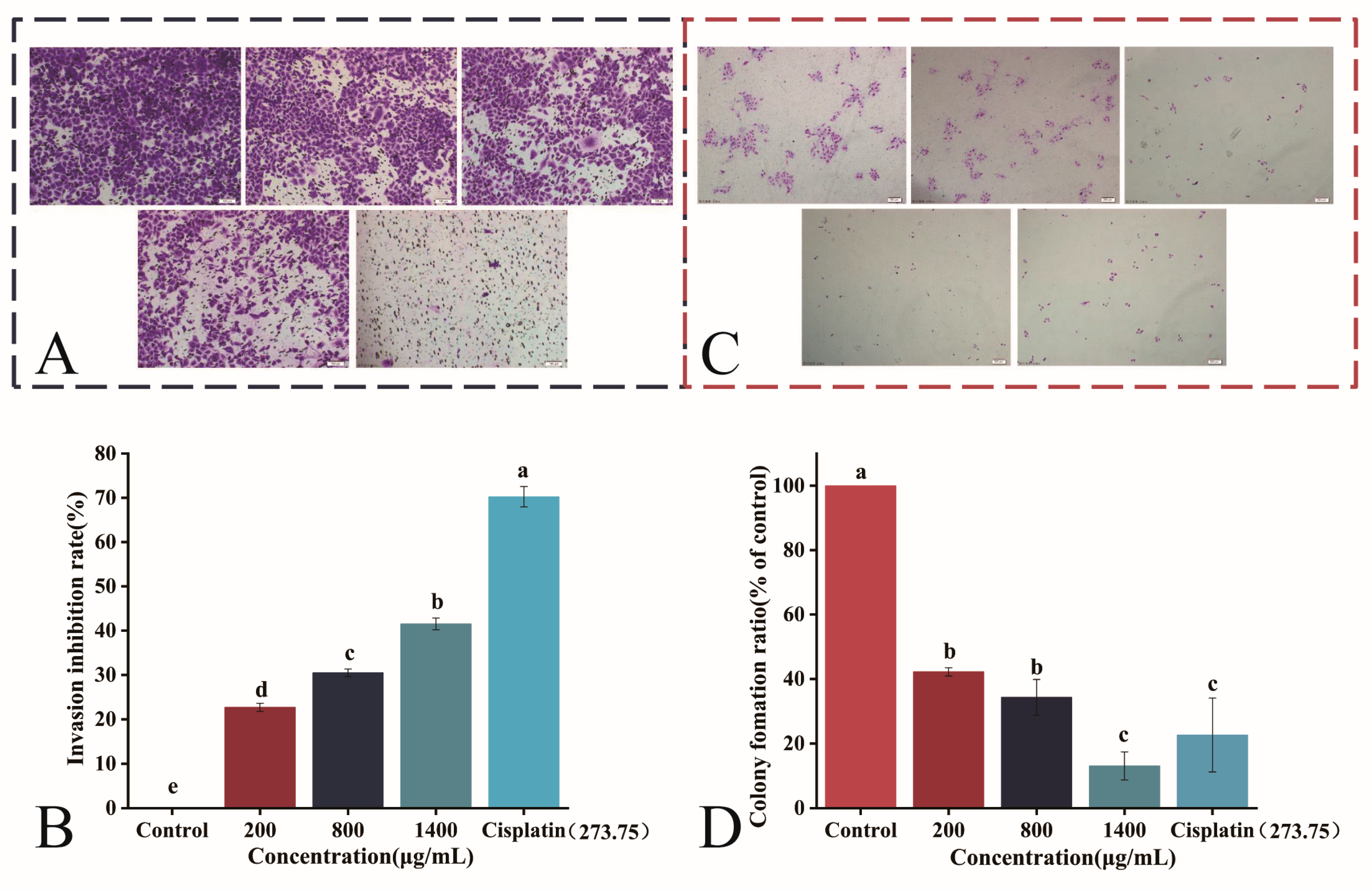 Foods 14 03278 g006 Foods 14 03278 g006