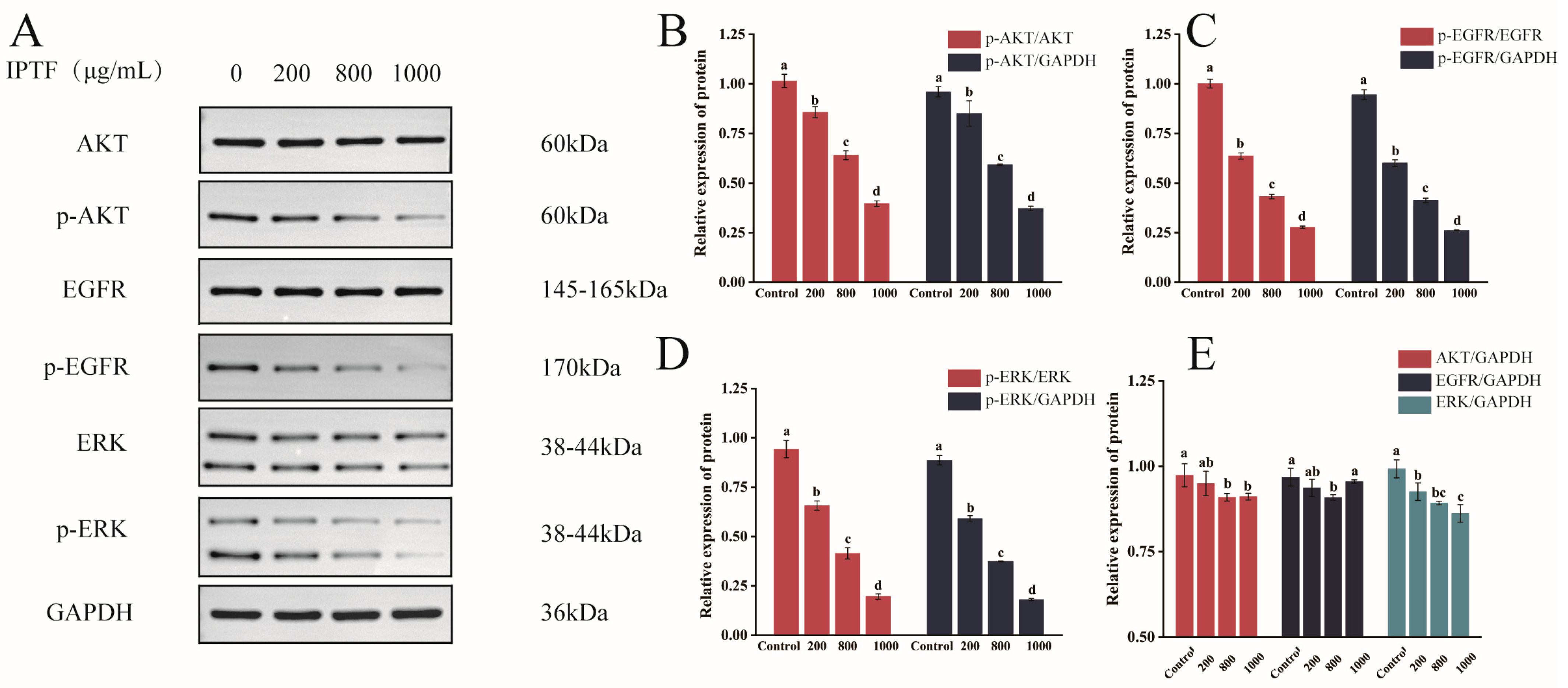 Foods 14 03278 g008 Foods 14 03278 g008