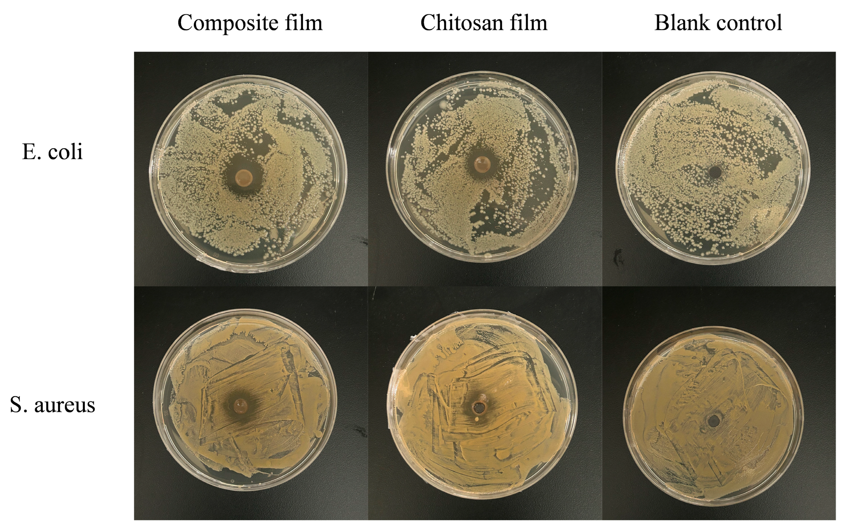 Foods 14 03280 g005 Foods 14 03280 g005